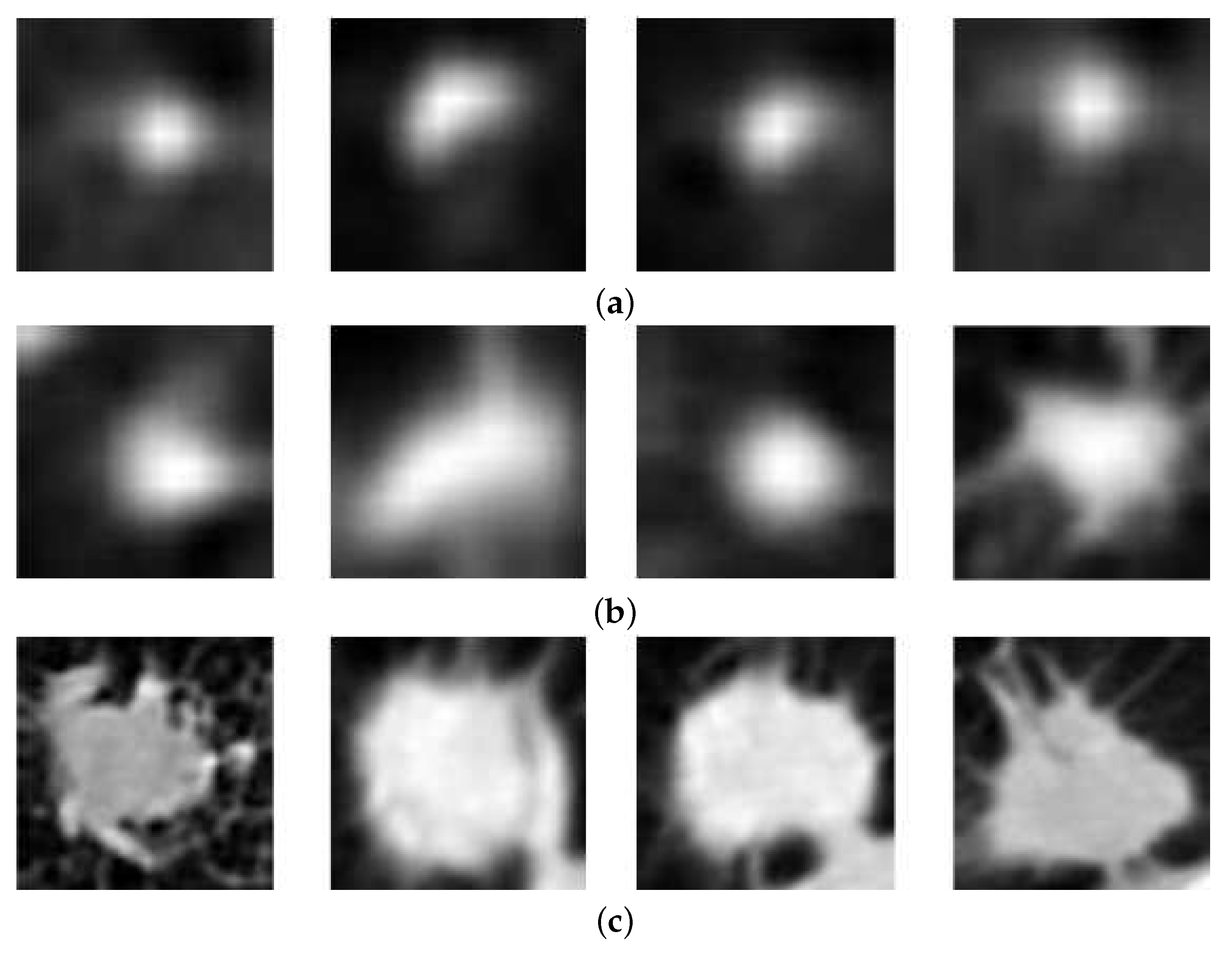 Sensors 20 02837 g001 Sensors 20 02837 g001
