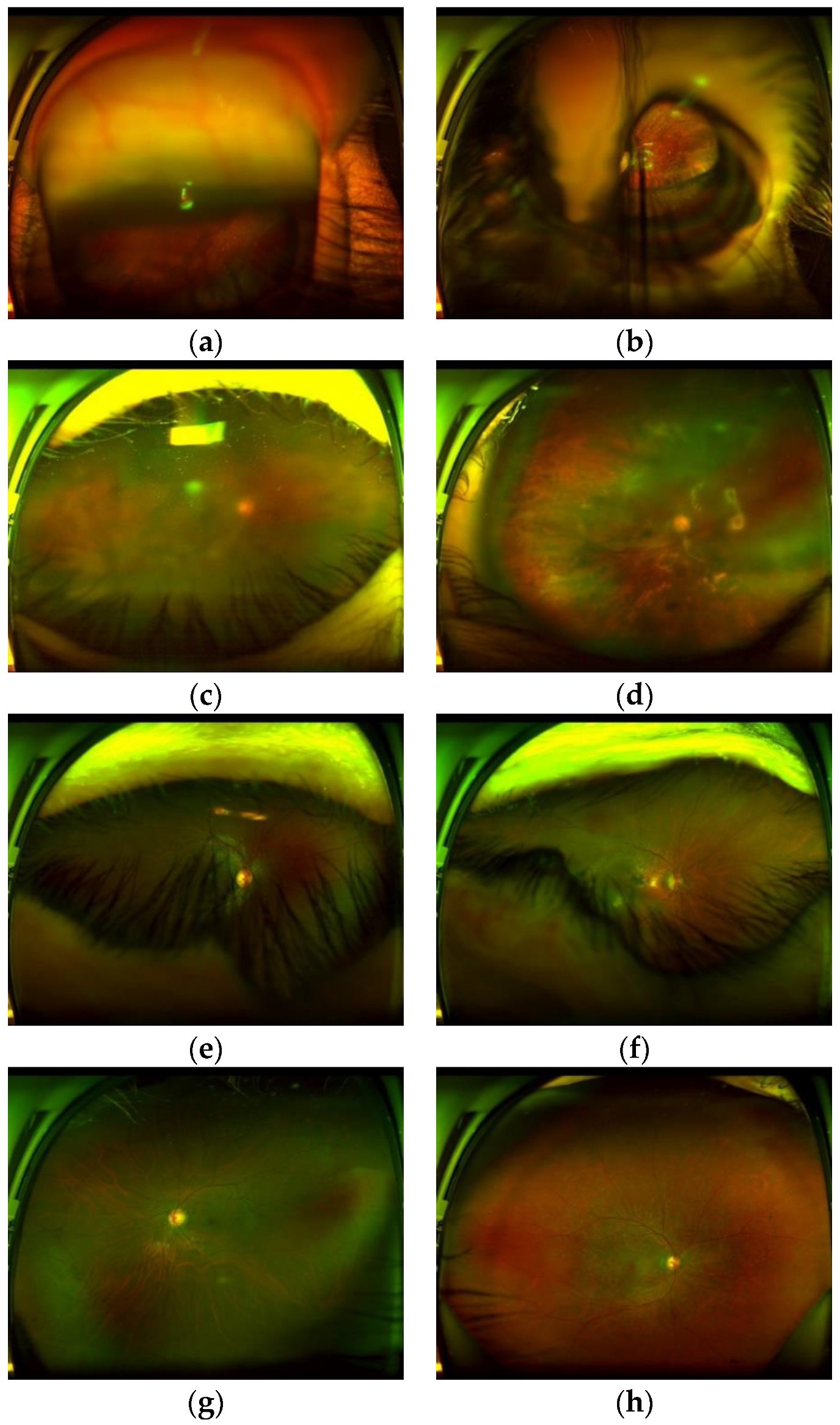Sensors 20 02838 g001 Sensors 20 02838 g001