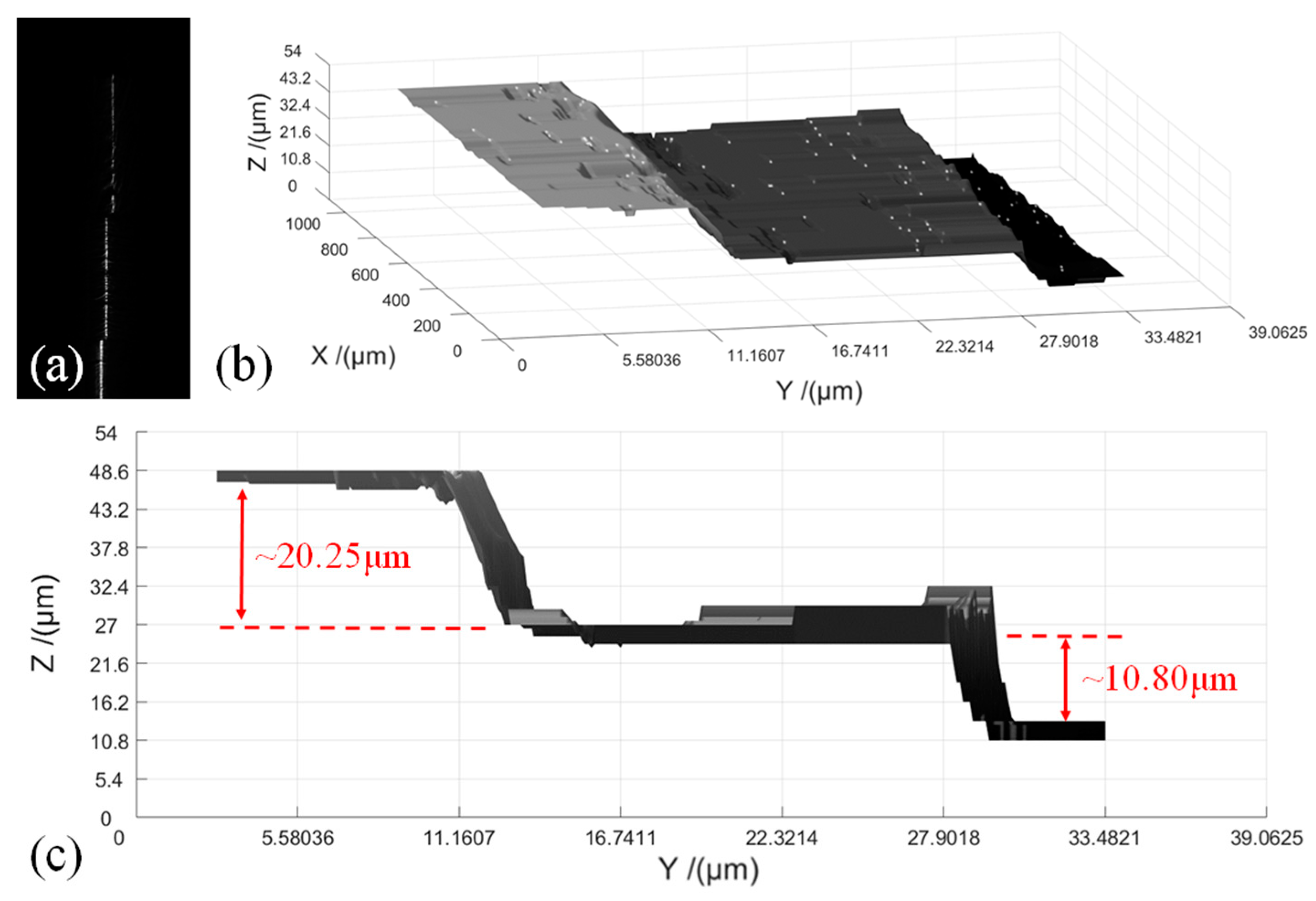 Sensors 20 02842 g007