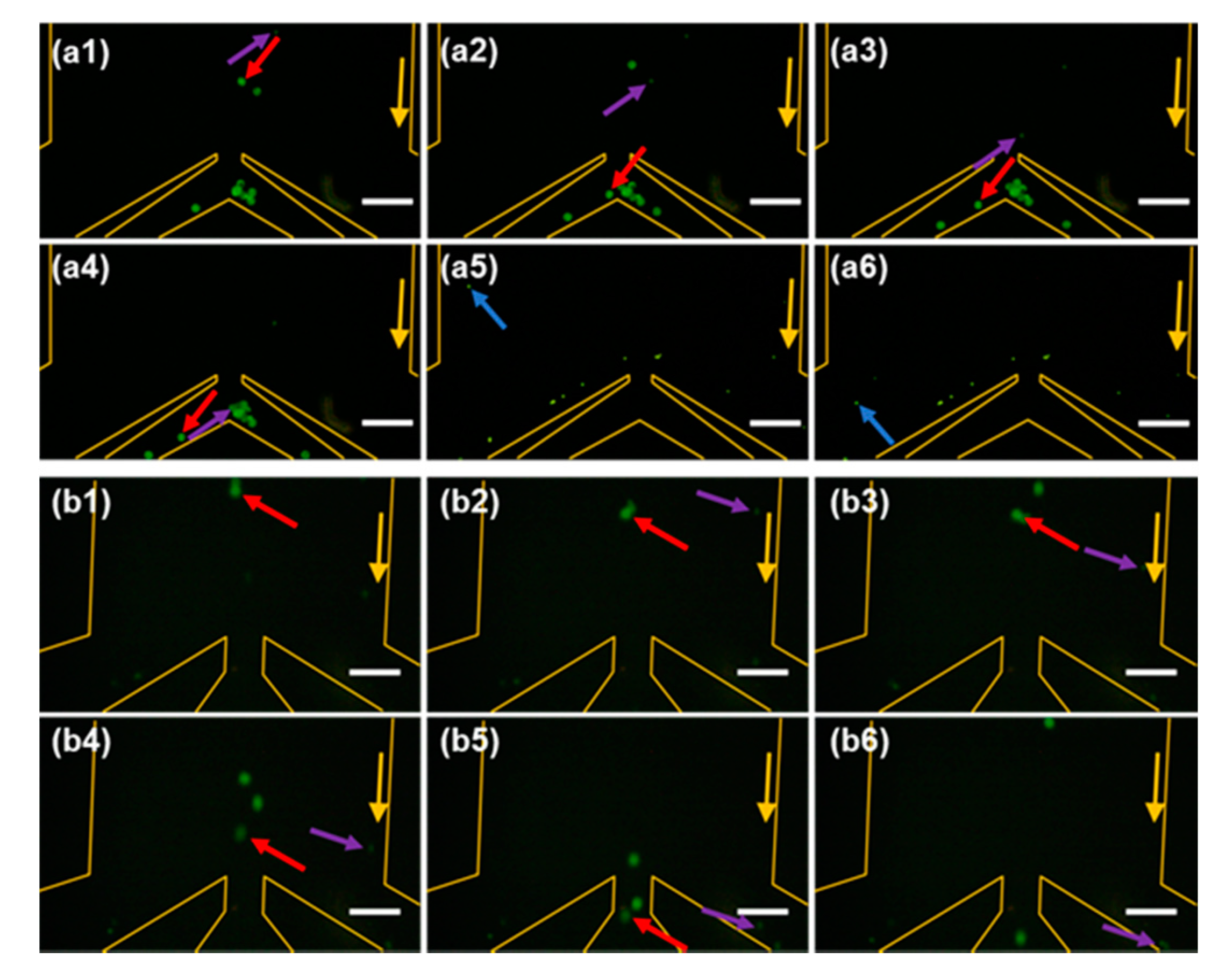 Sensors 20 02846 g008