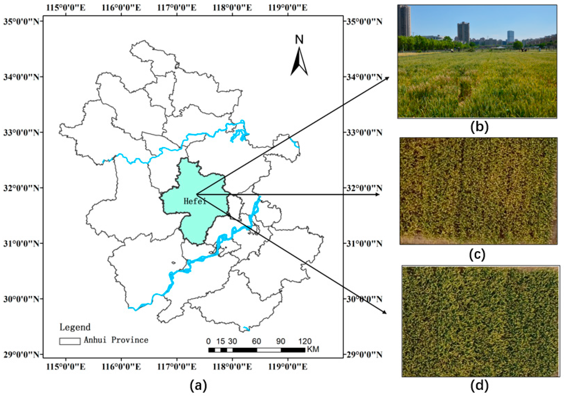 Sensors 20 02887 g001