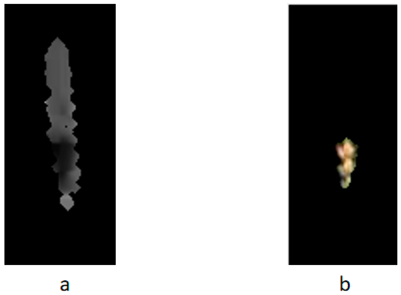 Sensors 20 02887 g004