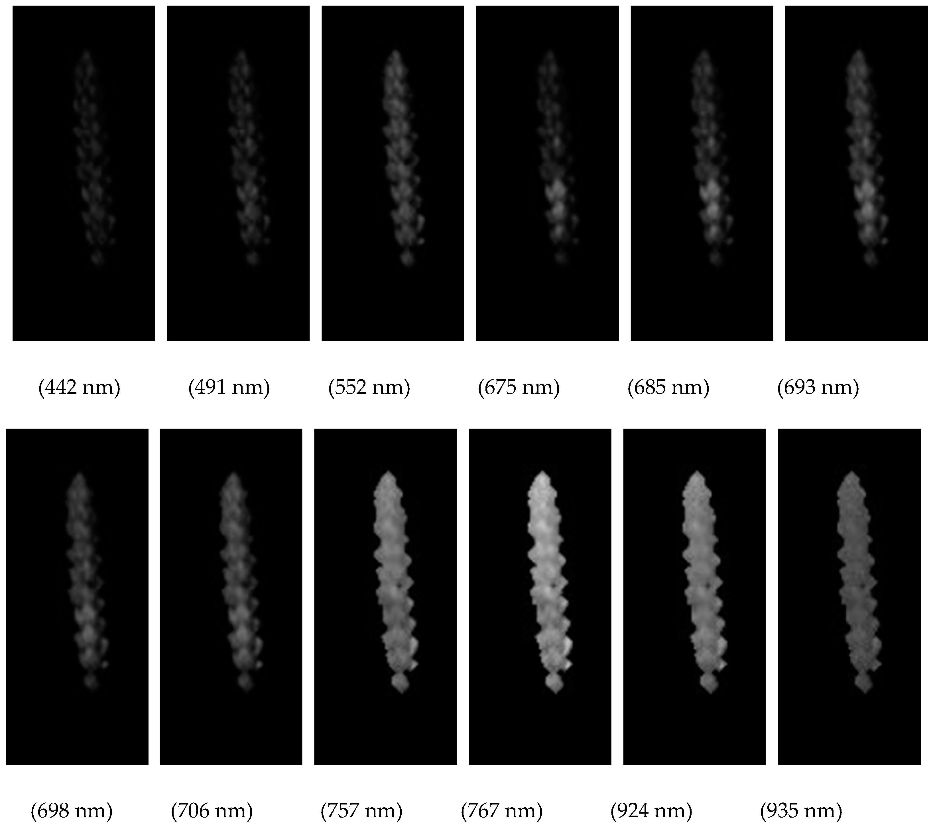Sensors 20 02887 g007