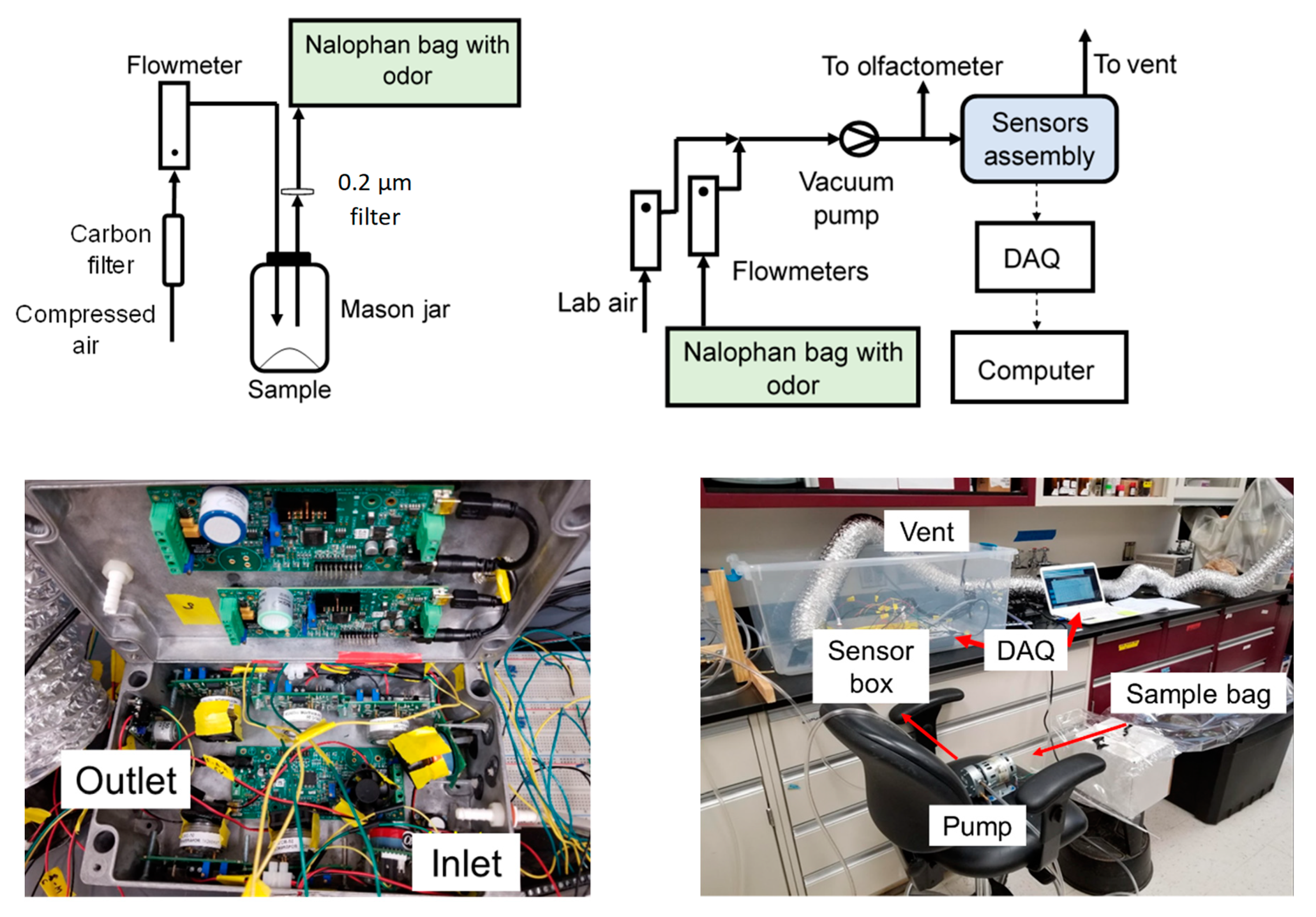 Sensors 20 02888 g001