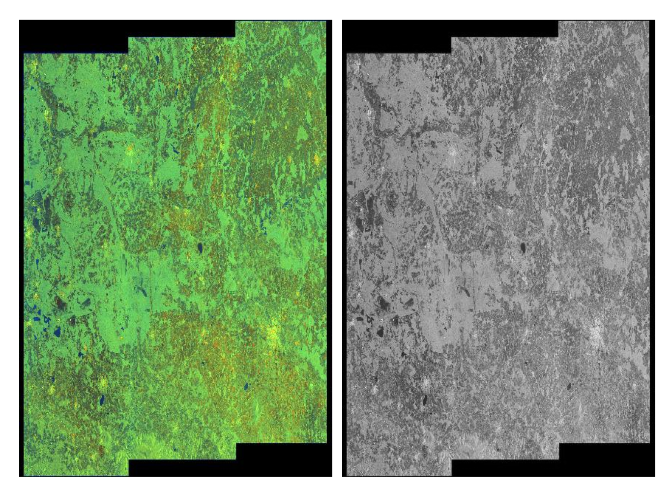 Sensors 20 02919 g001