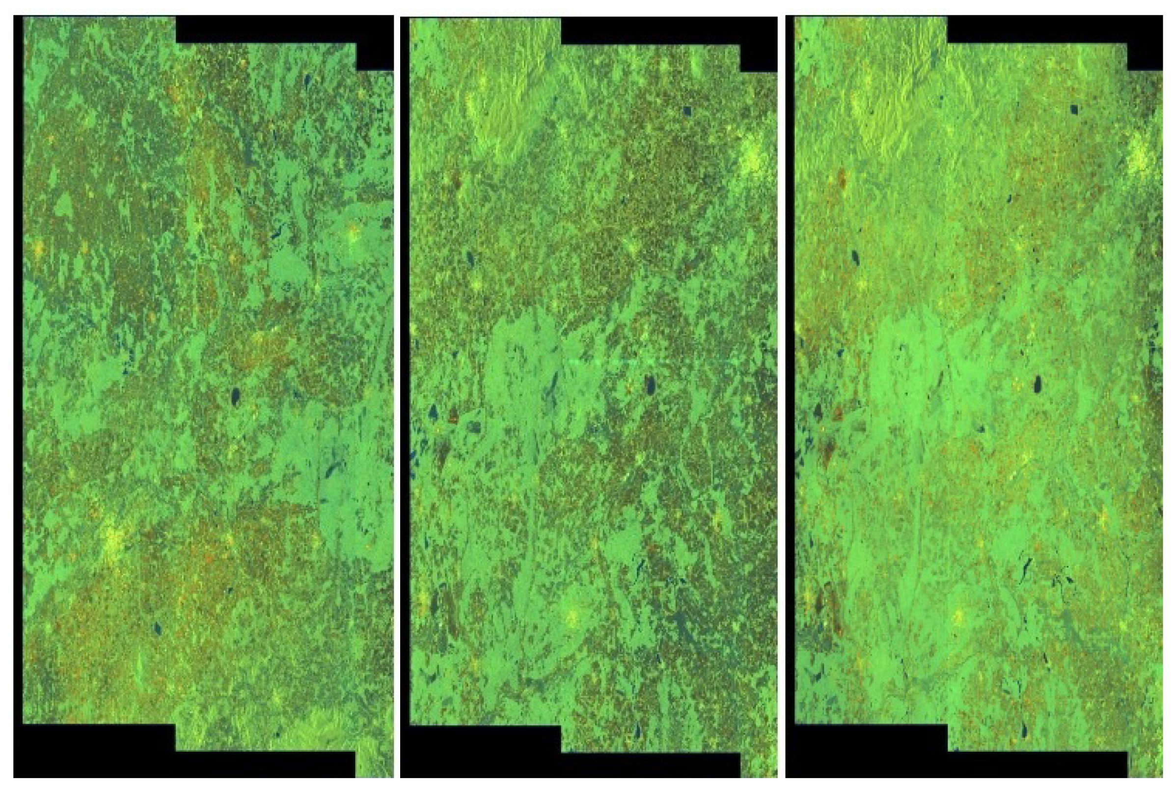 Sensors 20 02919 g020