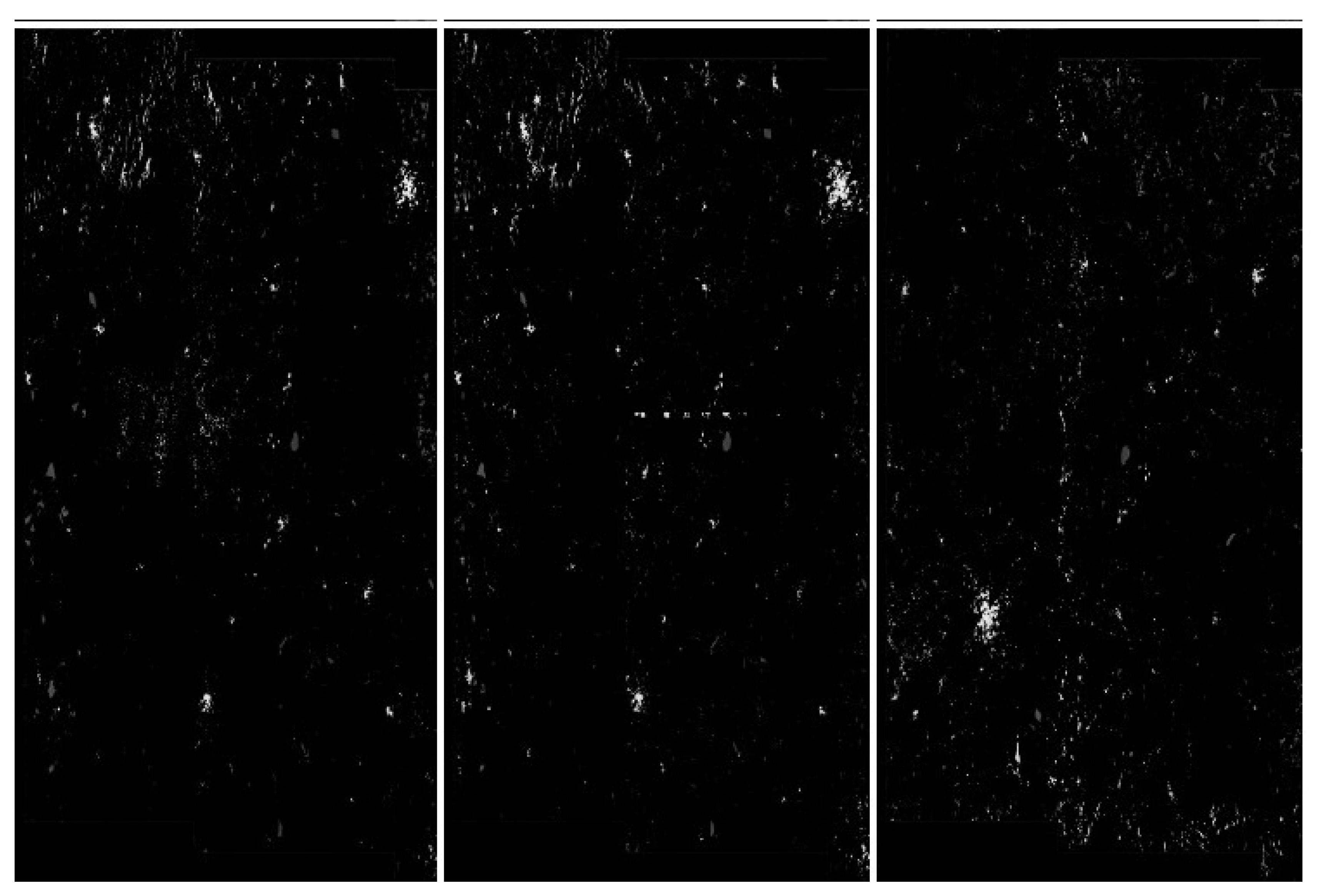 Sensors 20 02919 g022