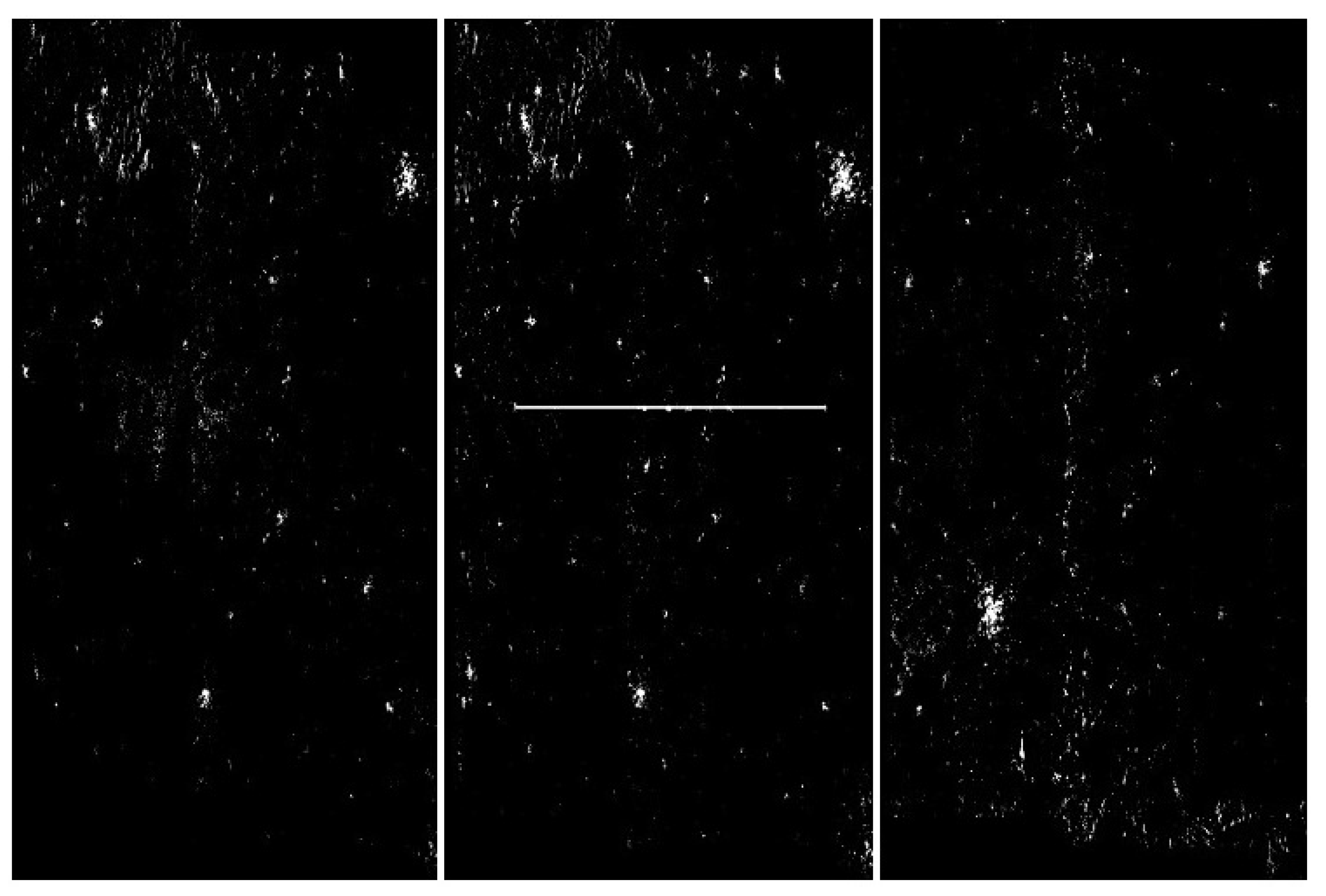 Sensors 20 02919 g024