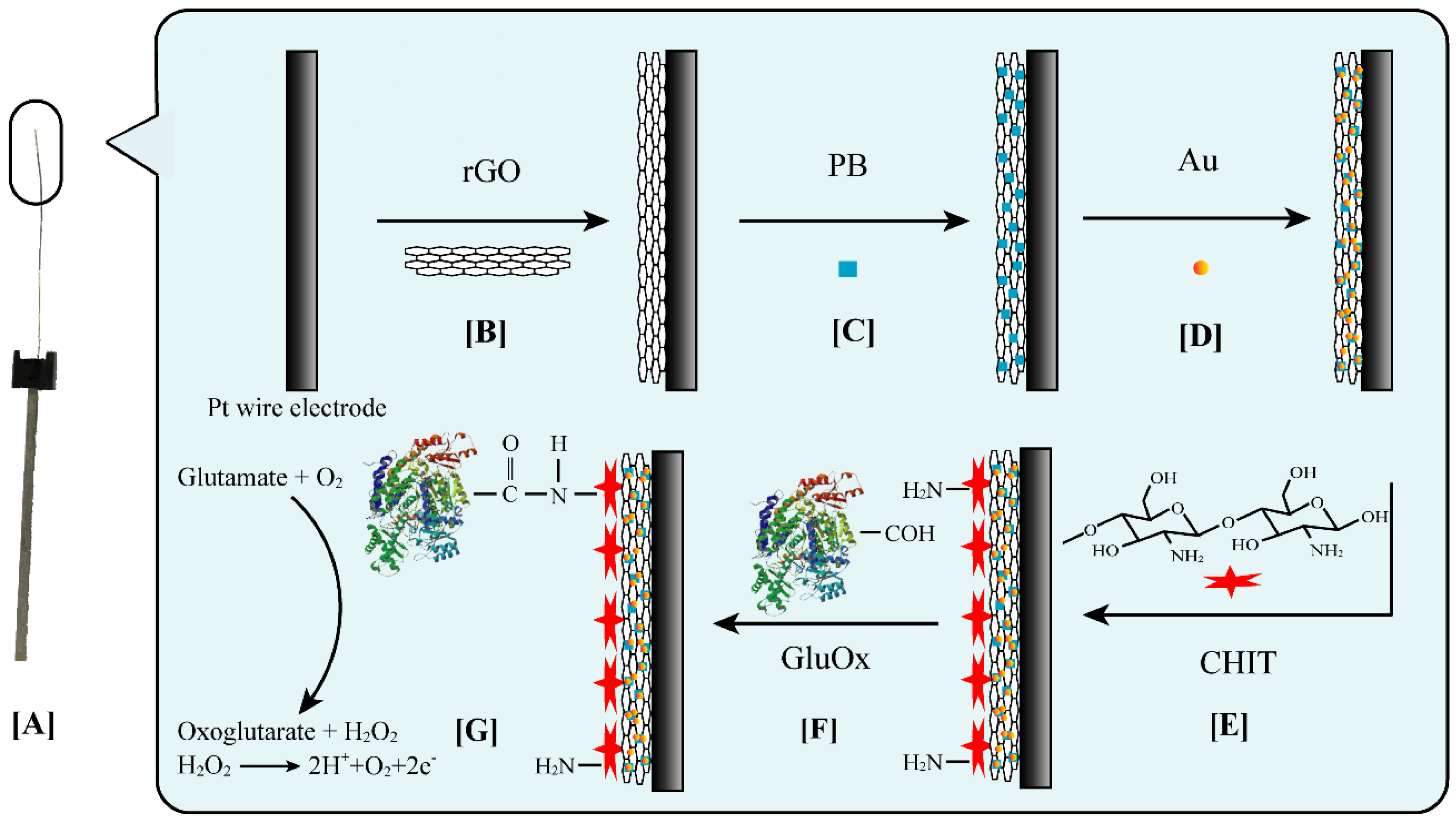 Sensors 20 02924 g001