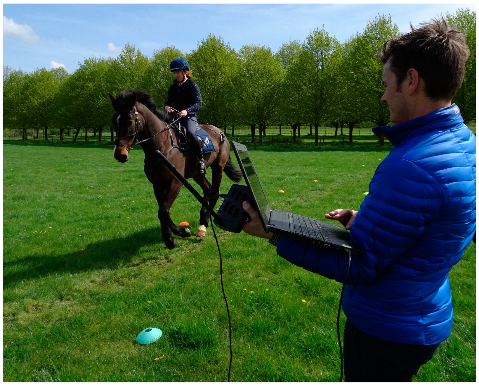 Sensors 20 02938 g003