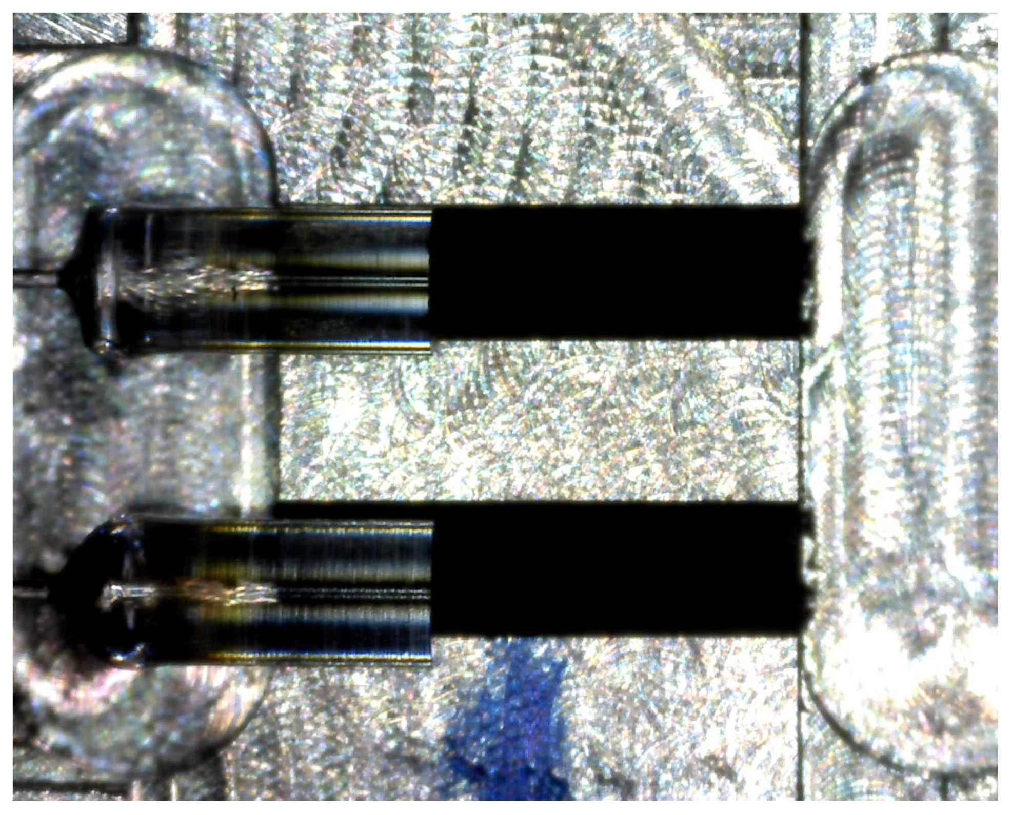 Sensors 20 02951 g006