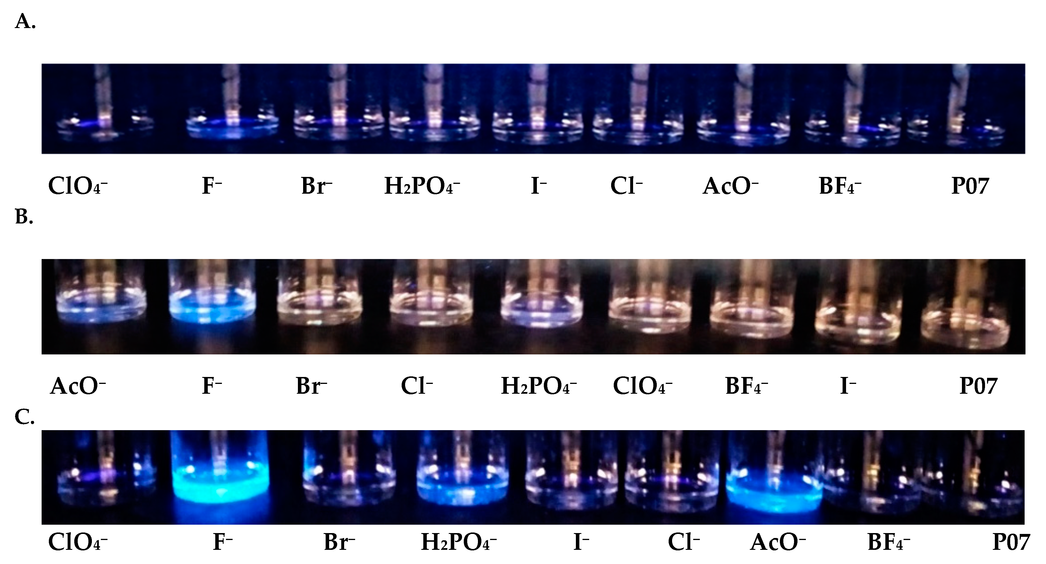 Sensors 20 02973 g003