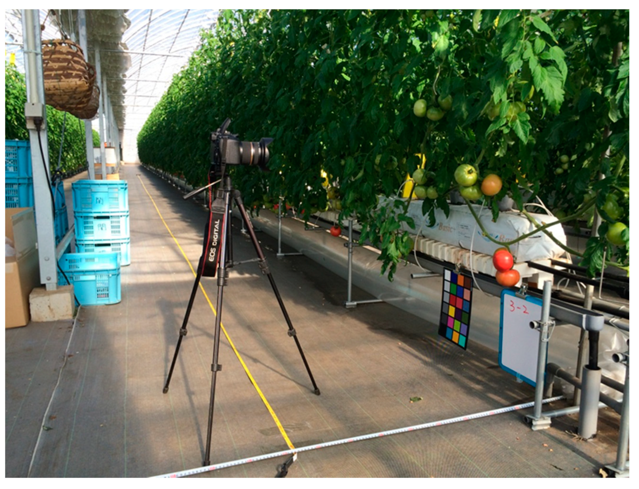 Sensors 20 02984 g001 Sensors 20 02984 g001