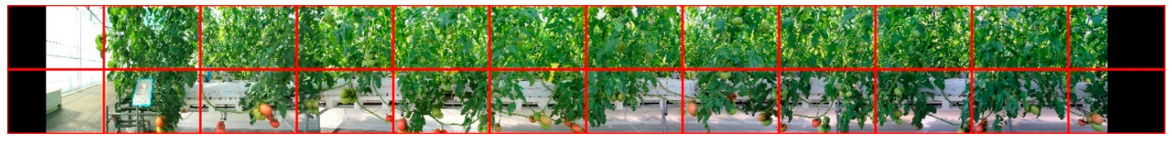 Sensors 20 02984 g002 Sensors 20 02984 g002