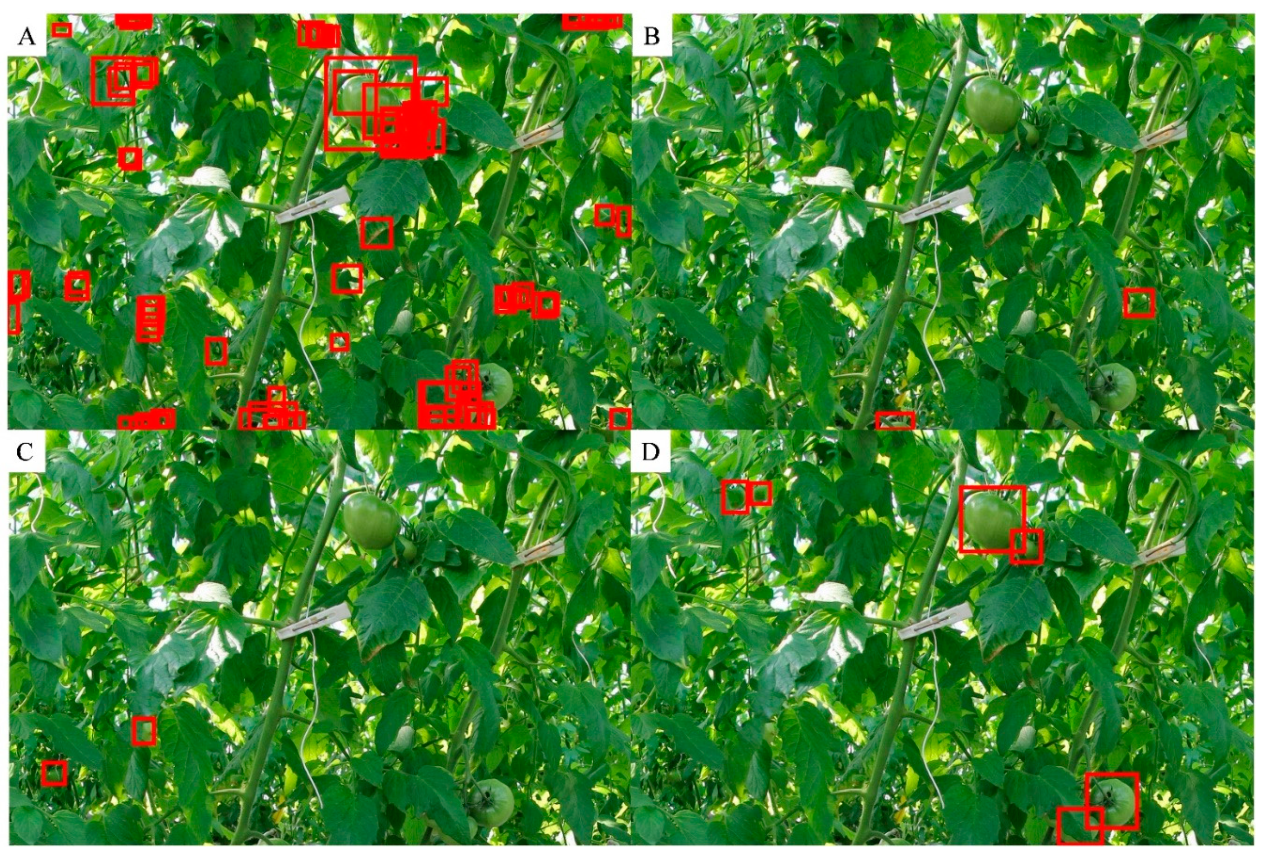 Sensors 20 02984 g005 Sensors 20 02984 g005