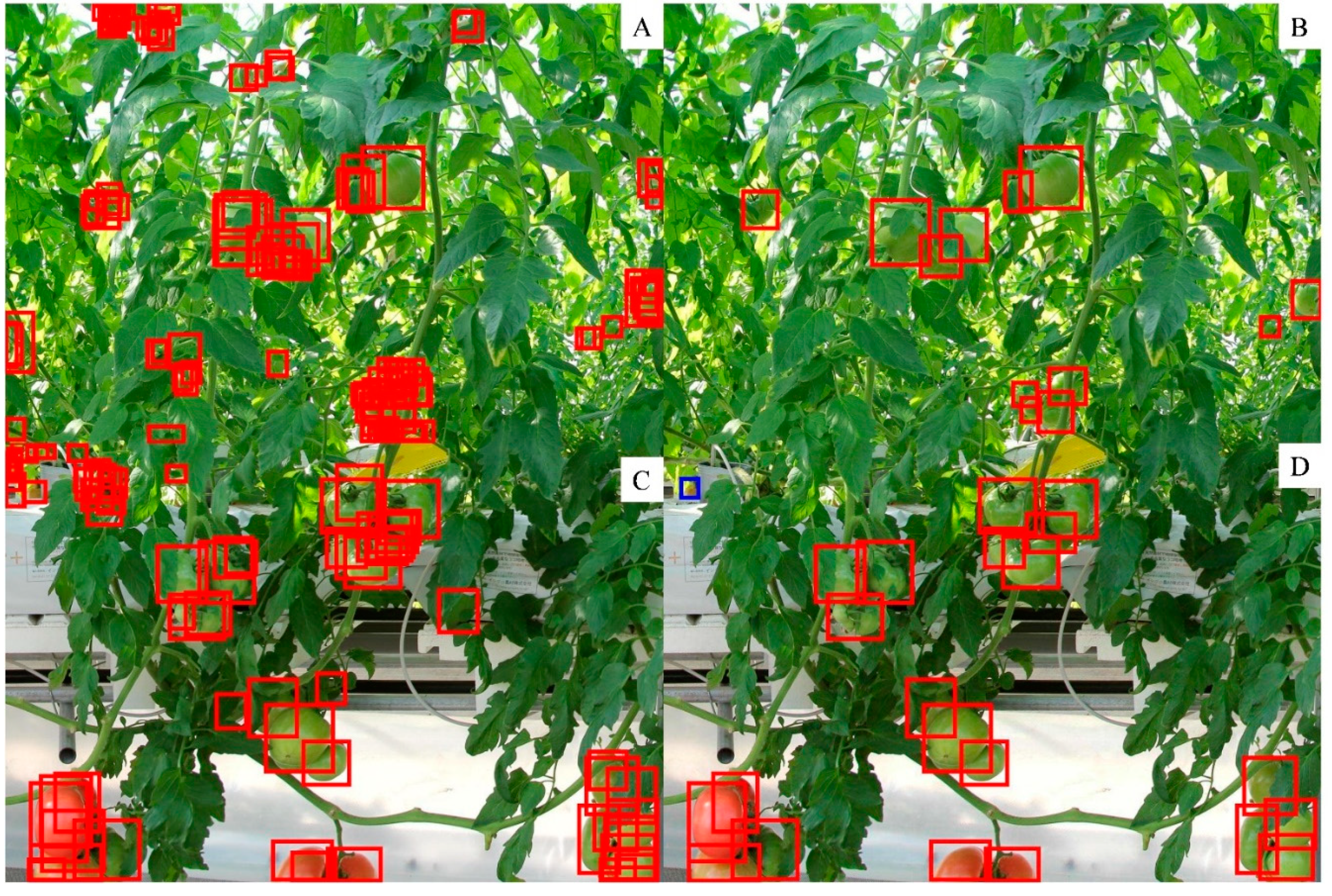 Sensors 20 02984 g006 Sensors 20 02984 g006