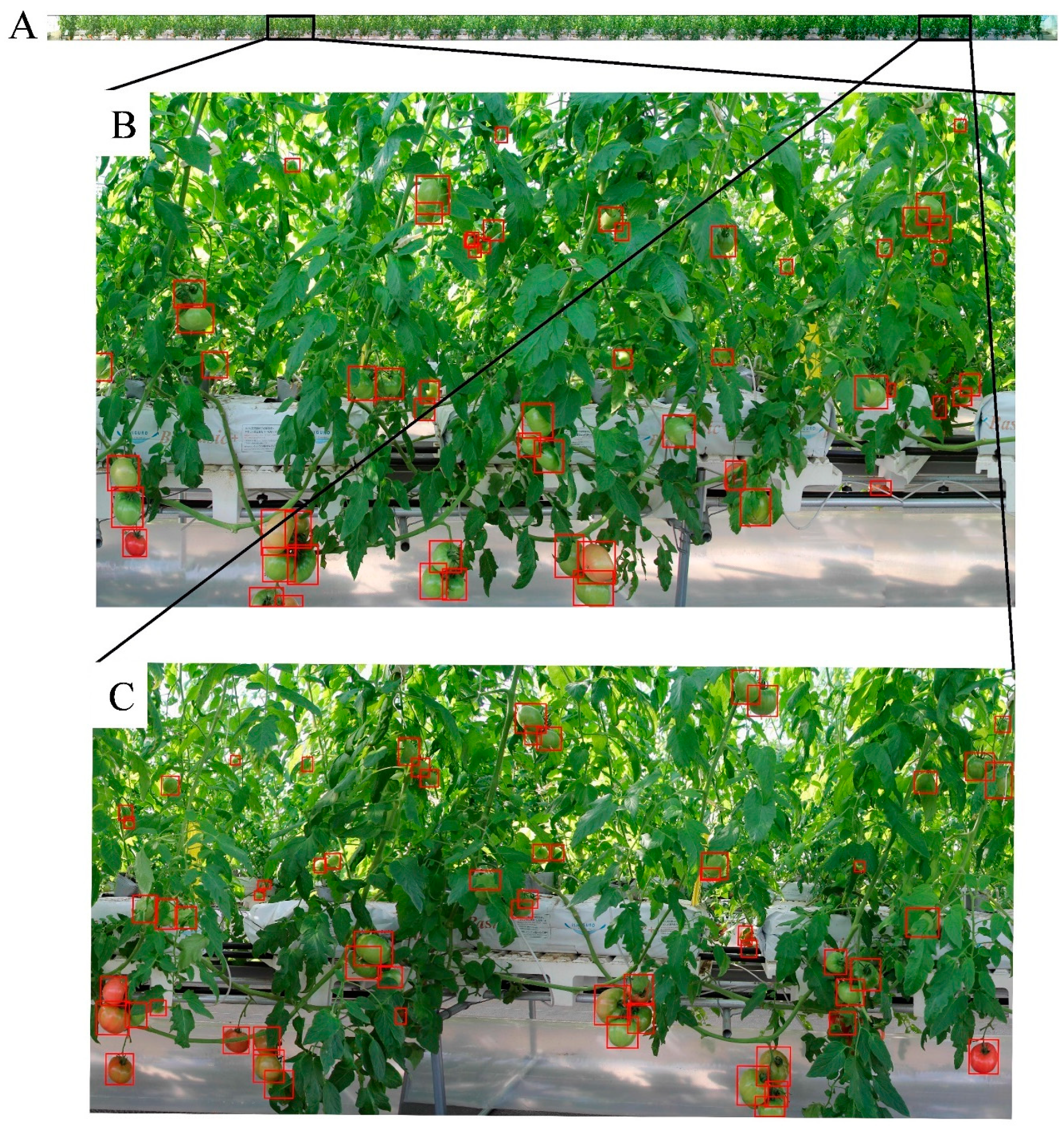 Sensors 20 02984 g008 Sensors 20 02984 g008
