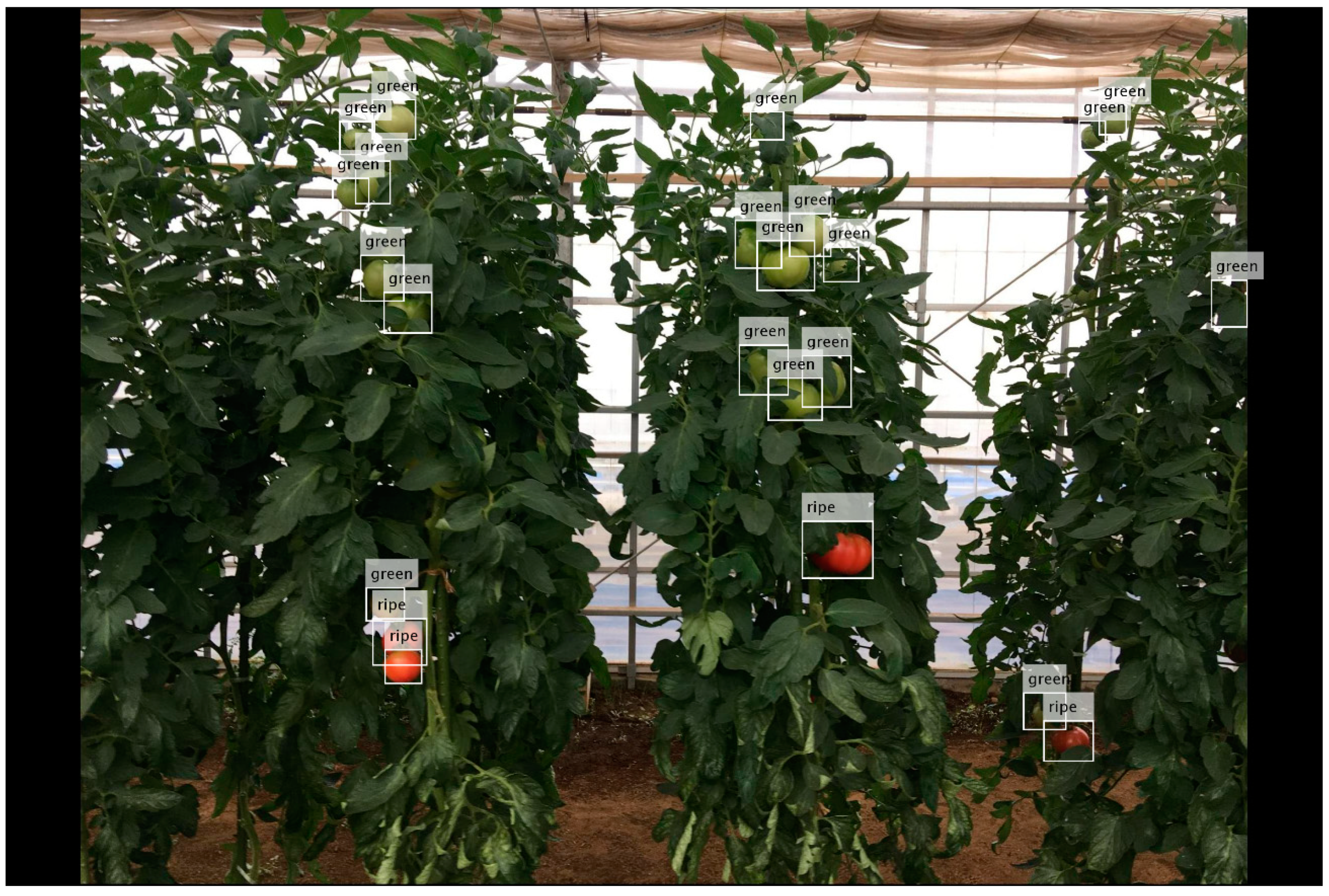 Sensors 20 02984 g013 Sensors 20 02984 g013