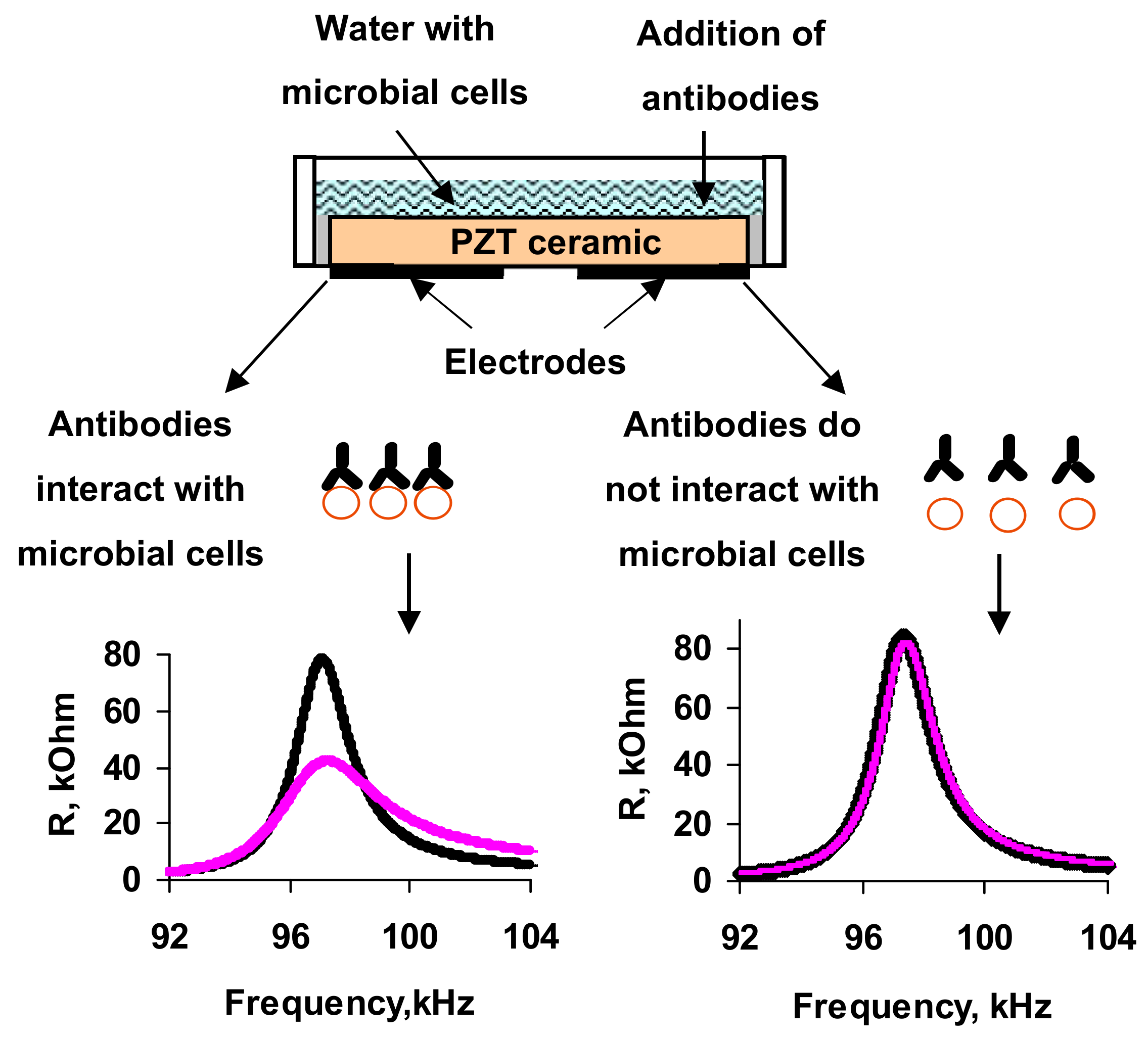 Sensors 20 03003 g001