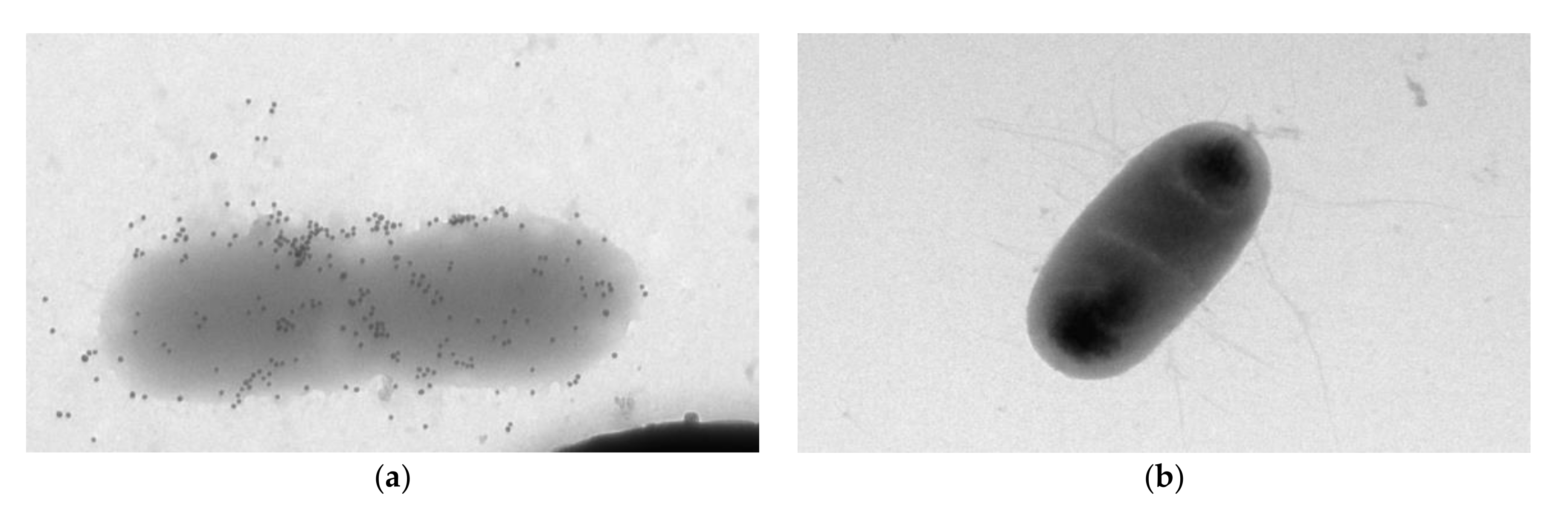 Sensors 20 03003 g006