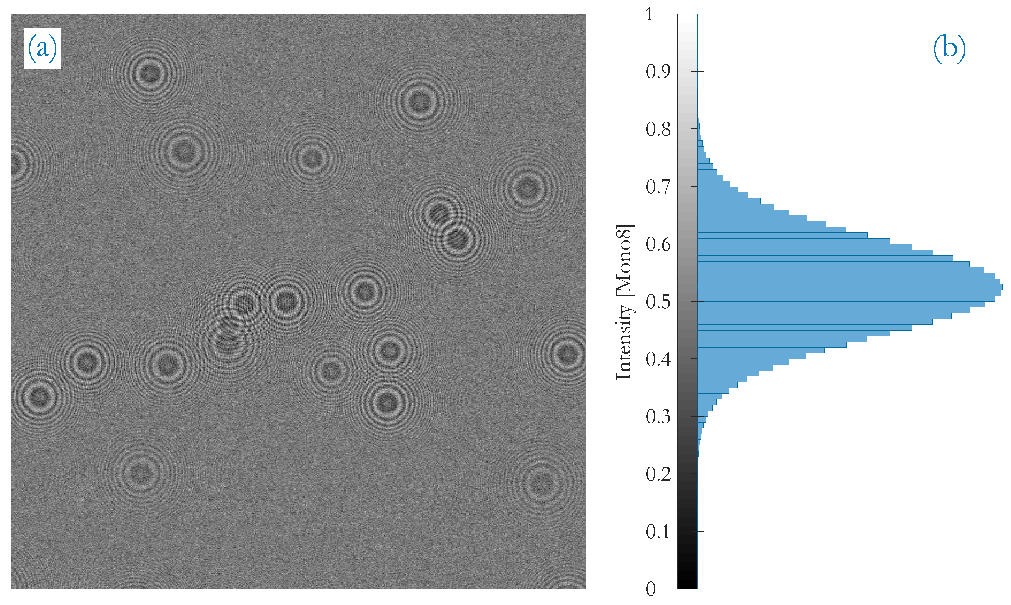 Sensors 20 03006 g002