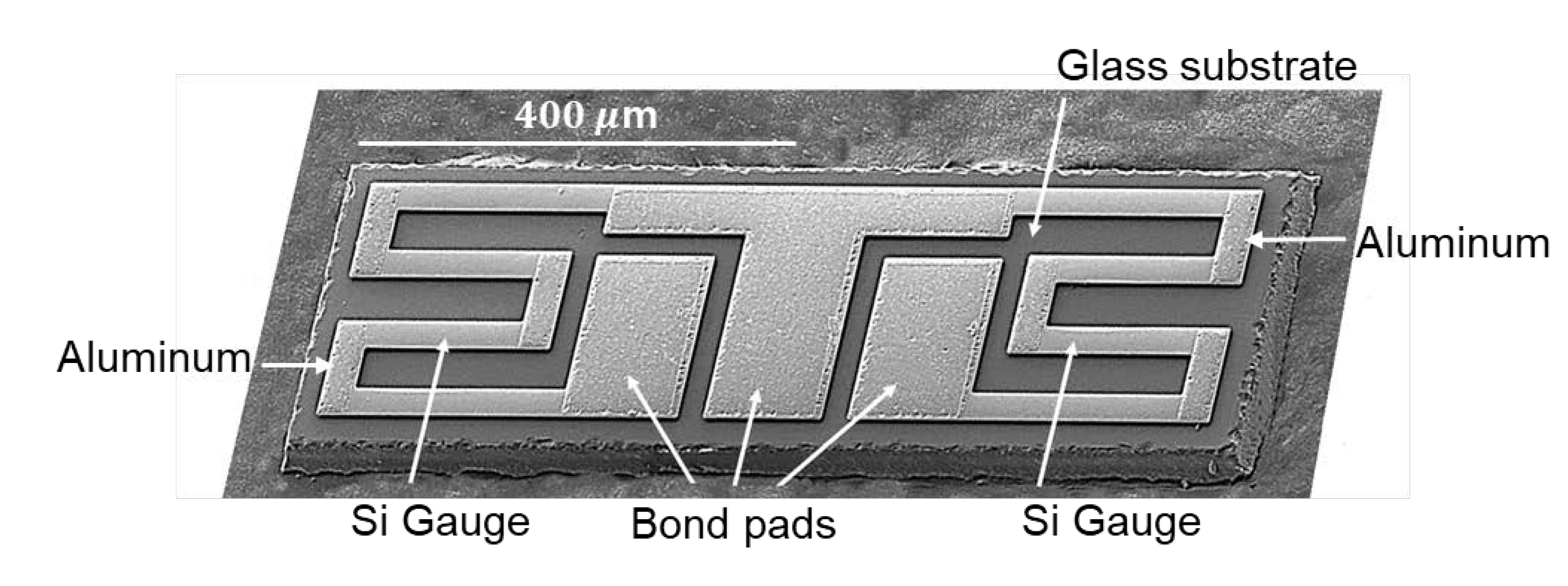 Sensors 20 03024 g004