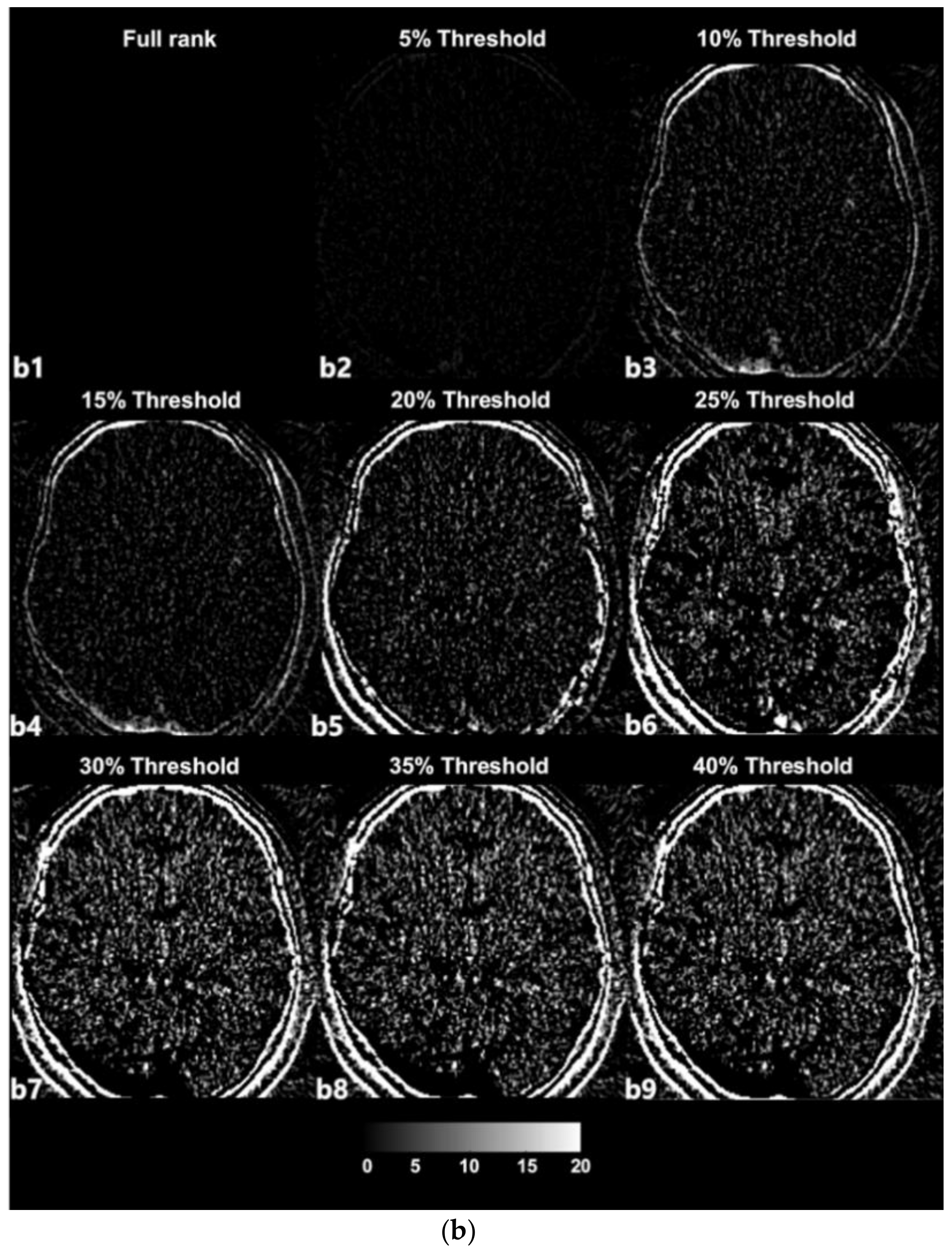 Sensors 20 03063 g003b