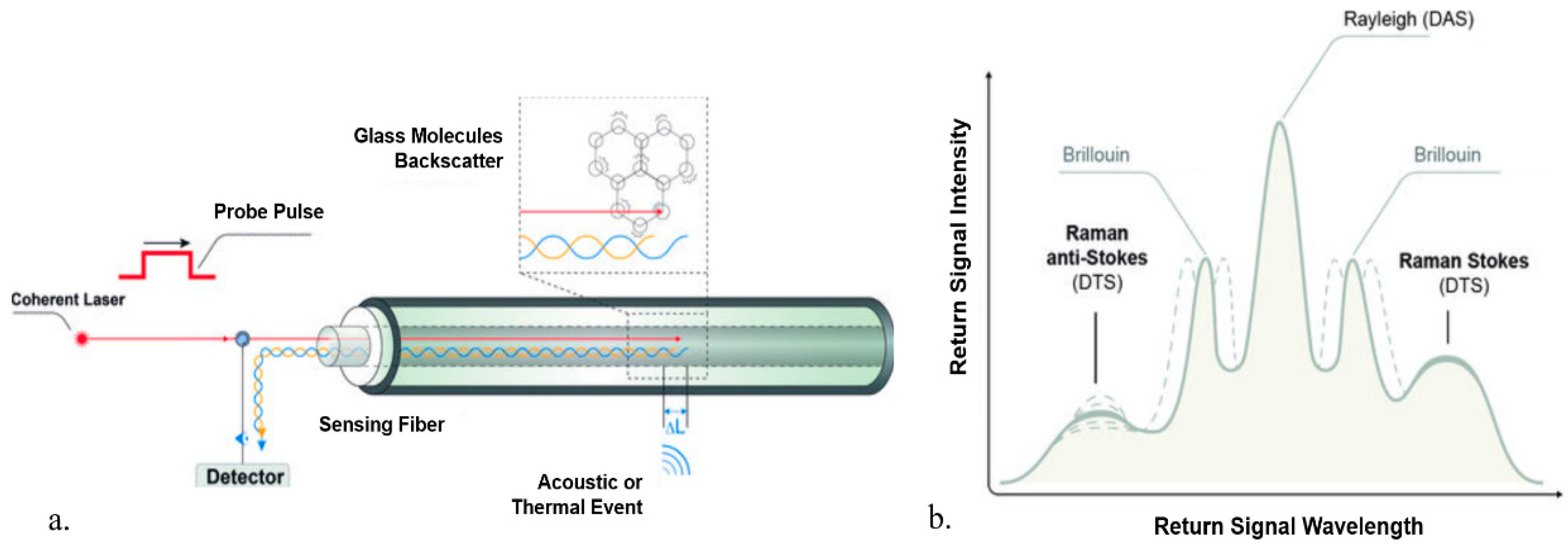 Sensors 20 03075 g001 Sensors 20 03075 g001
