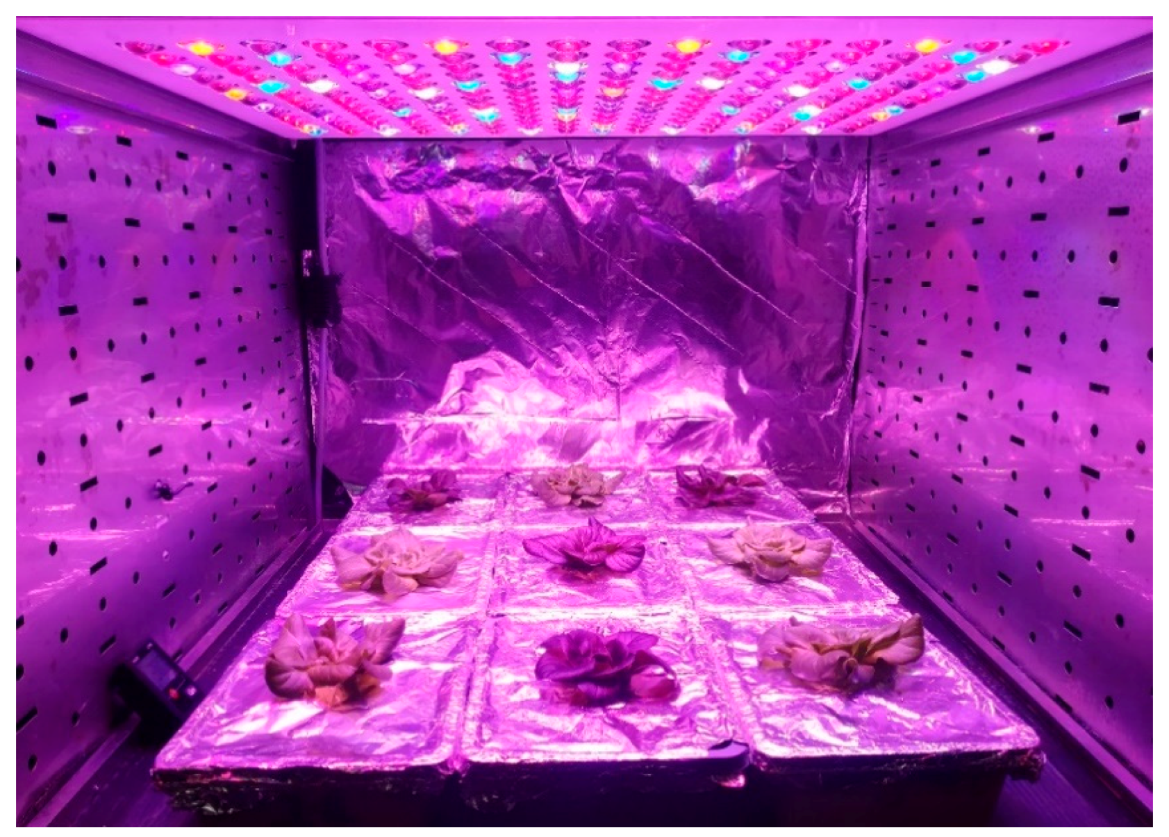 Sensors 20 03110 g002