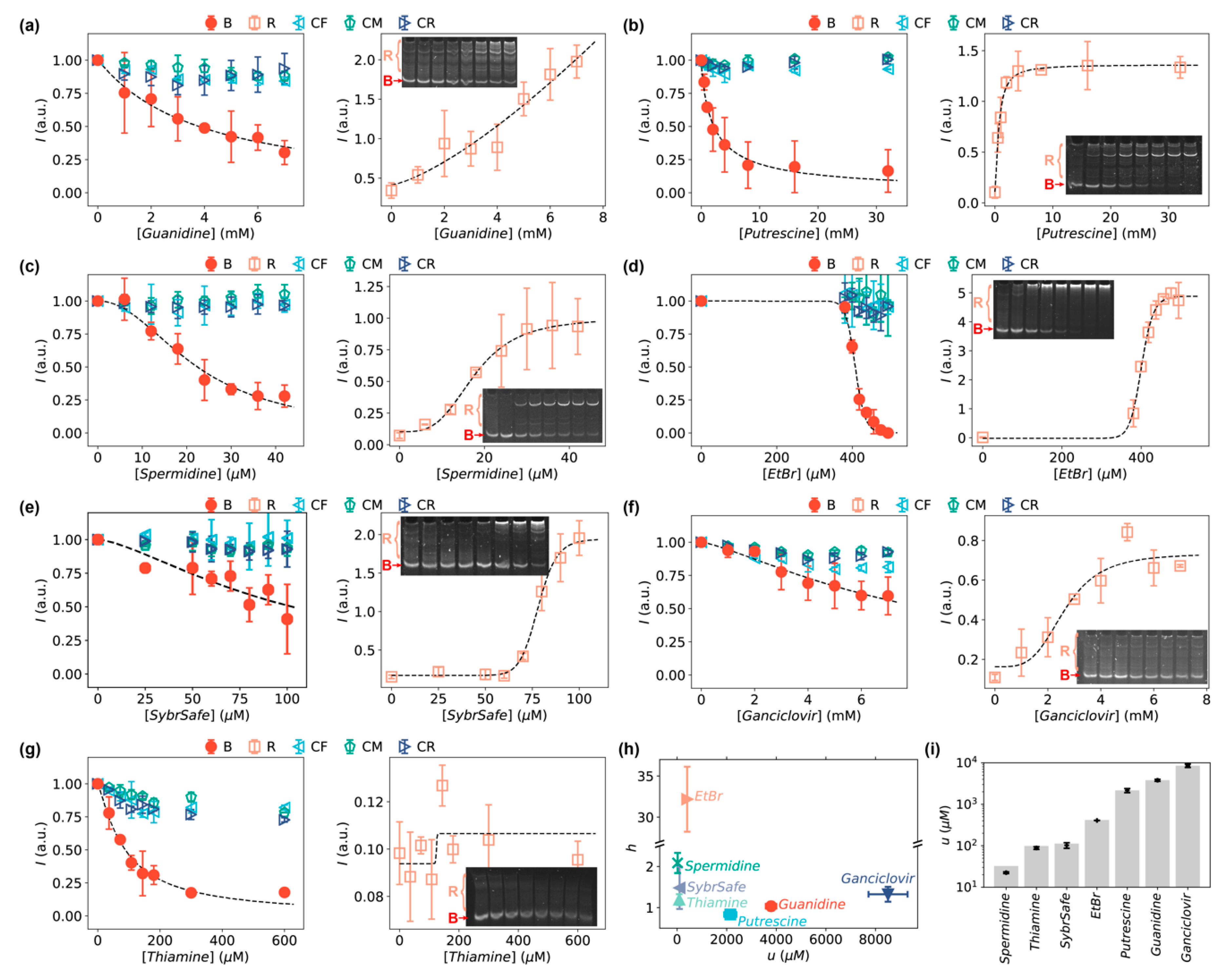Sensors 20 03112 g004