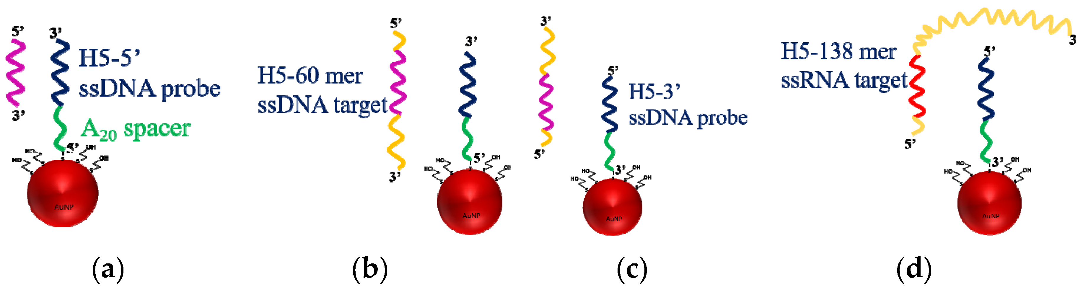 Sensors 20 03137 g005 Sensors 20 03137 g005