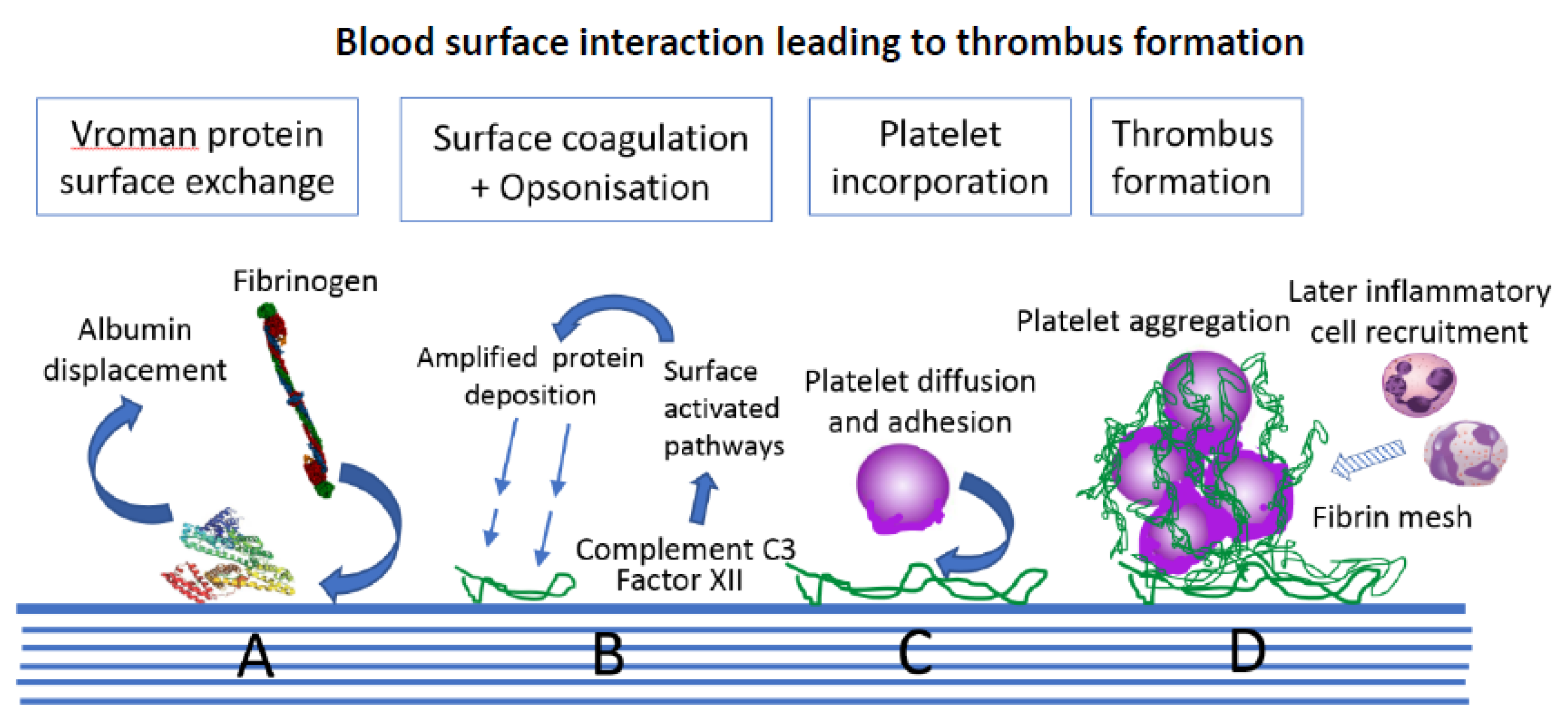 Sensors 20 03149 g004 Sensors 20 03149 g004
