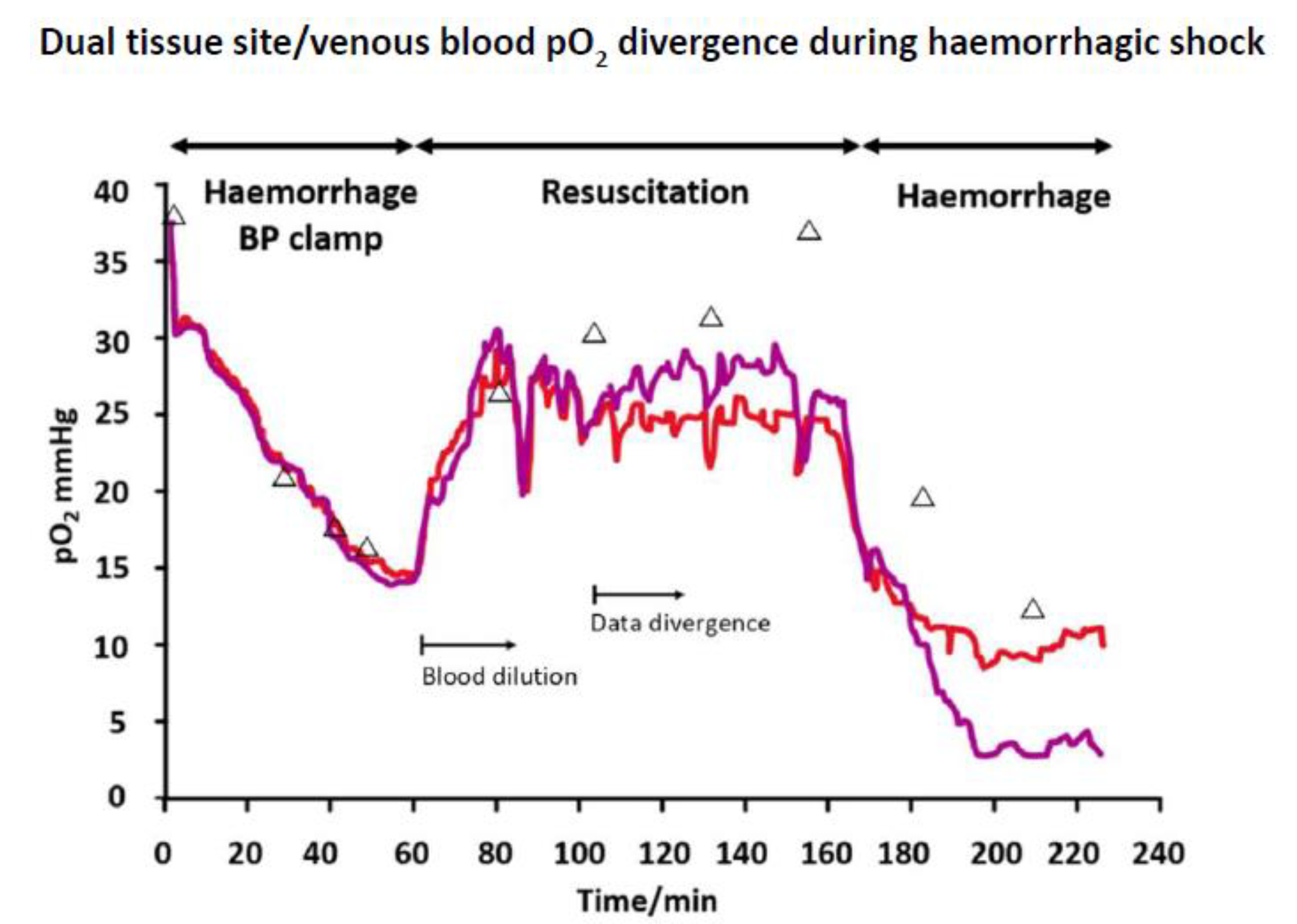 Sensors 20 03149 g005 Sensors 20 03149 g005