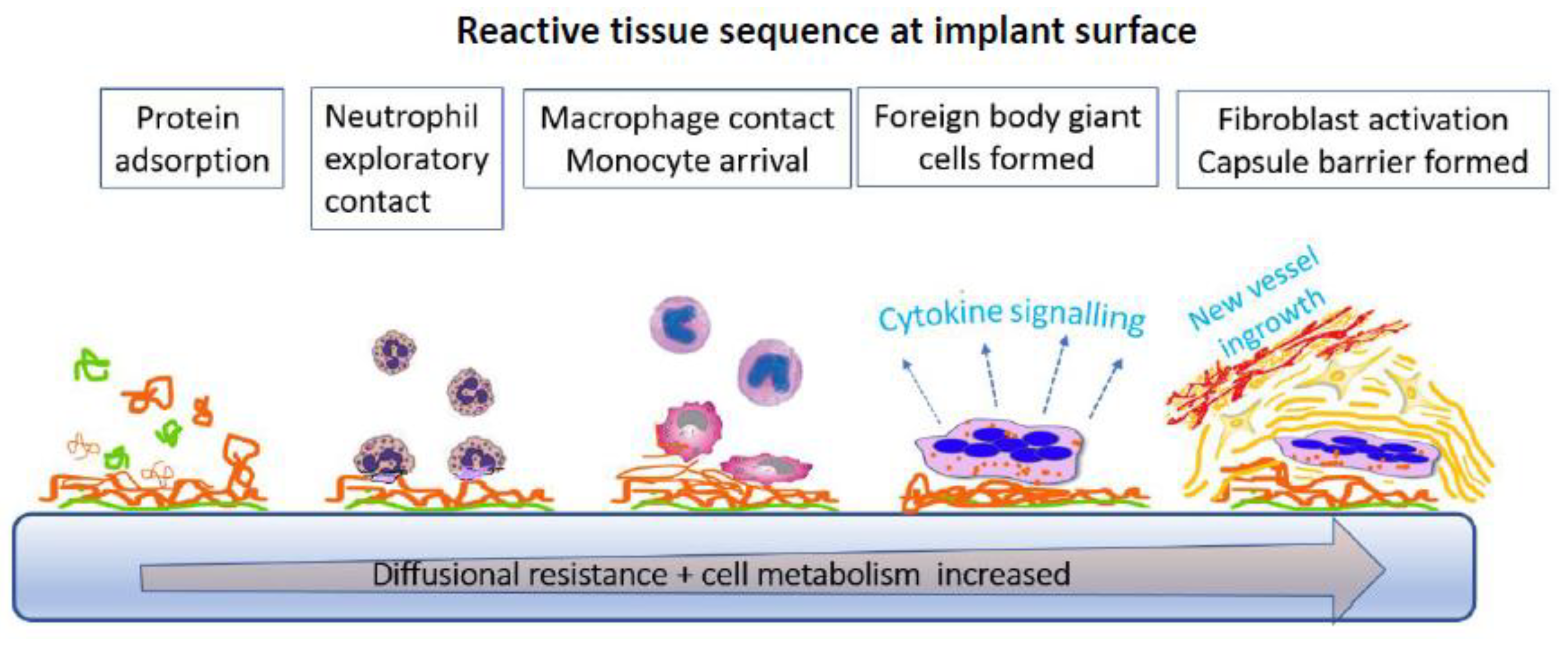 Sensors 20 03149 g009 Sensors 20 03149 g009