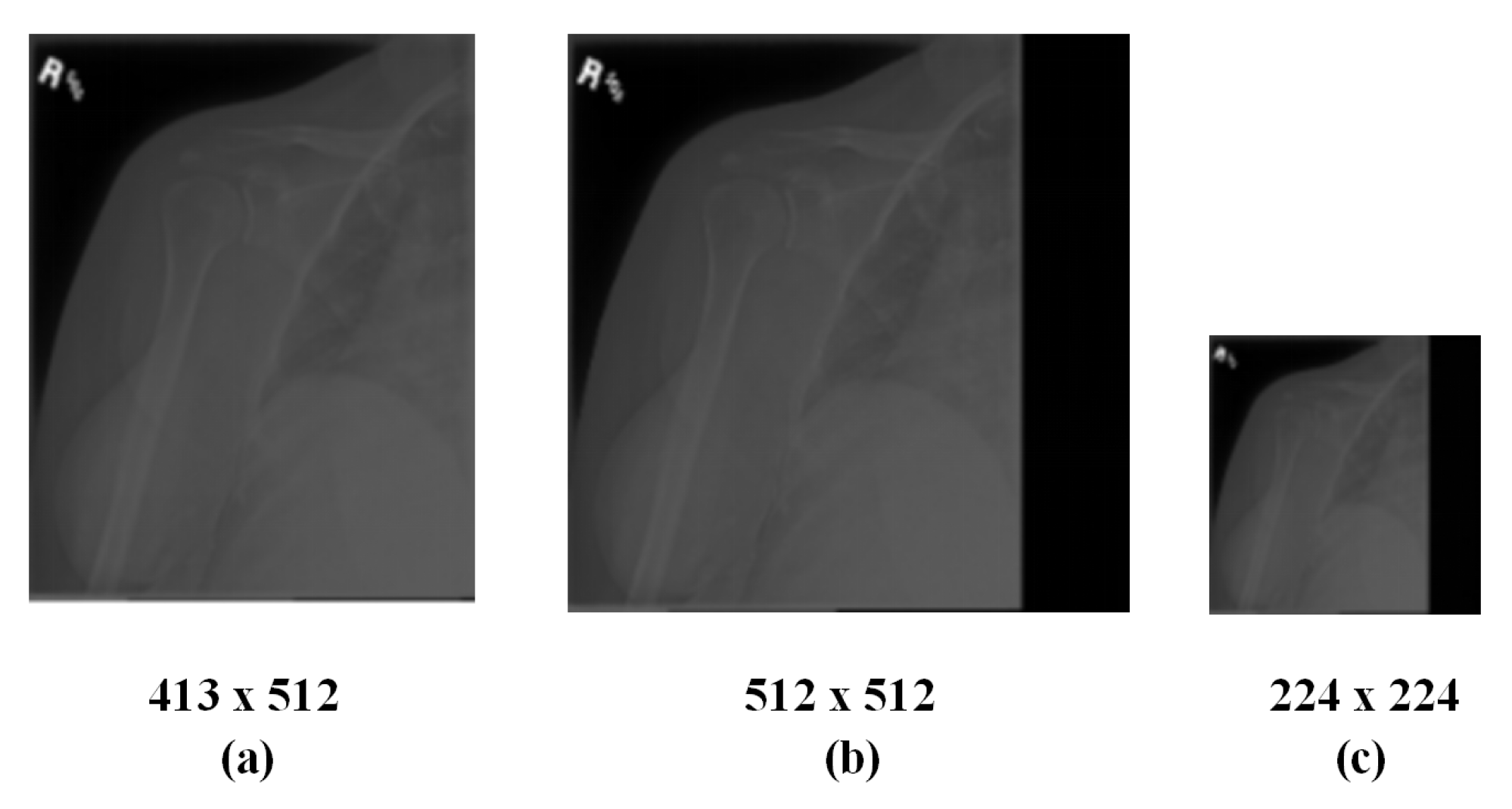 Sensors 20 03153 g001