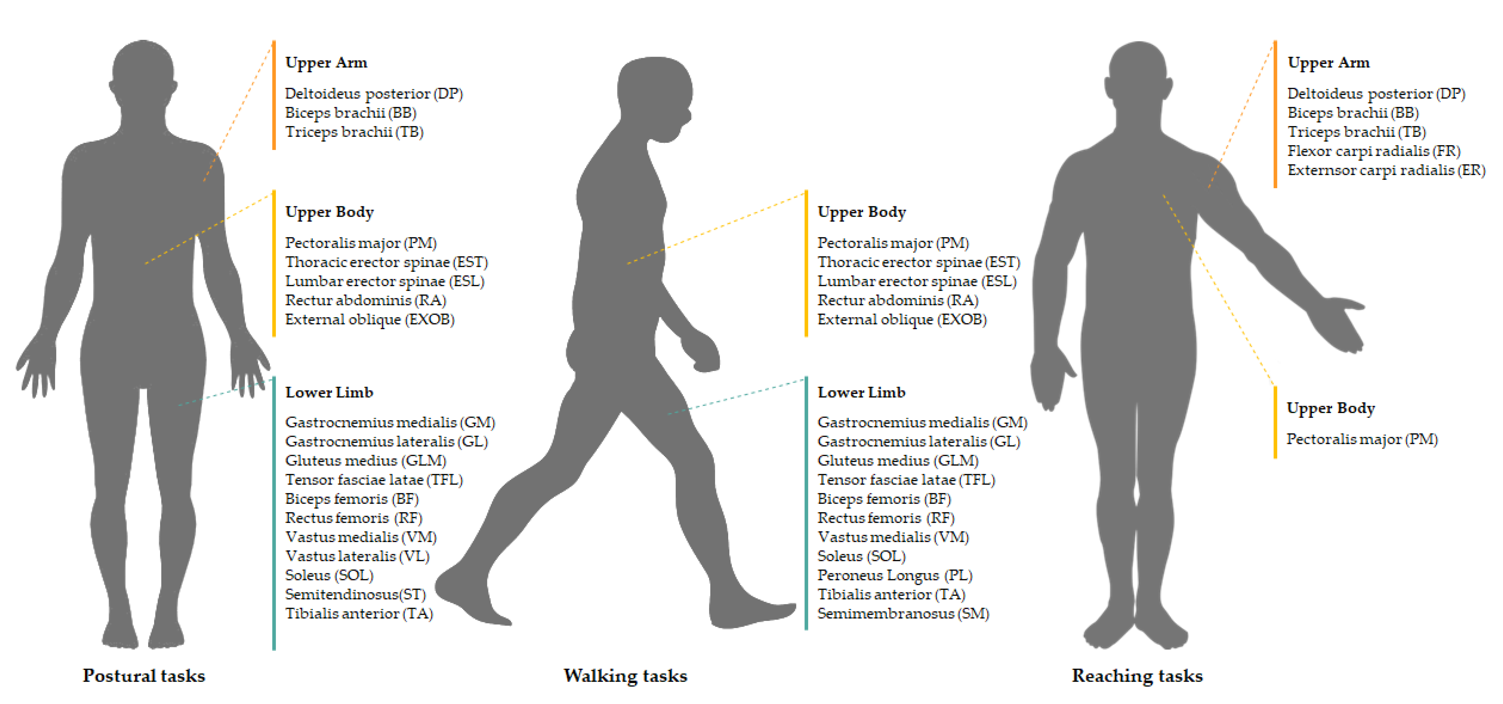 Sensors 20 03209 g003