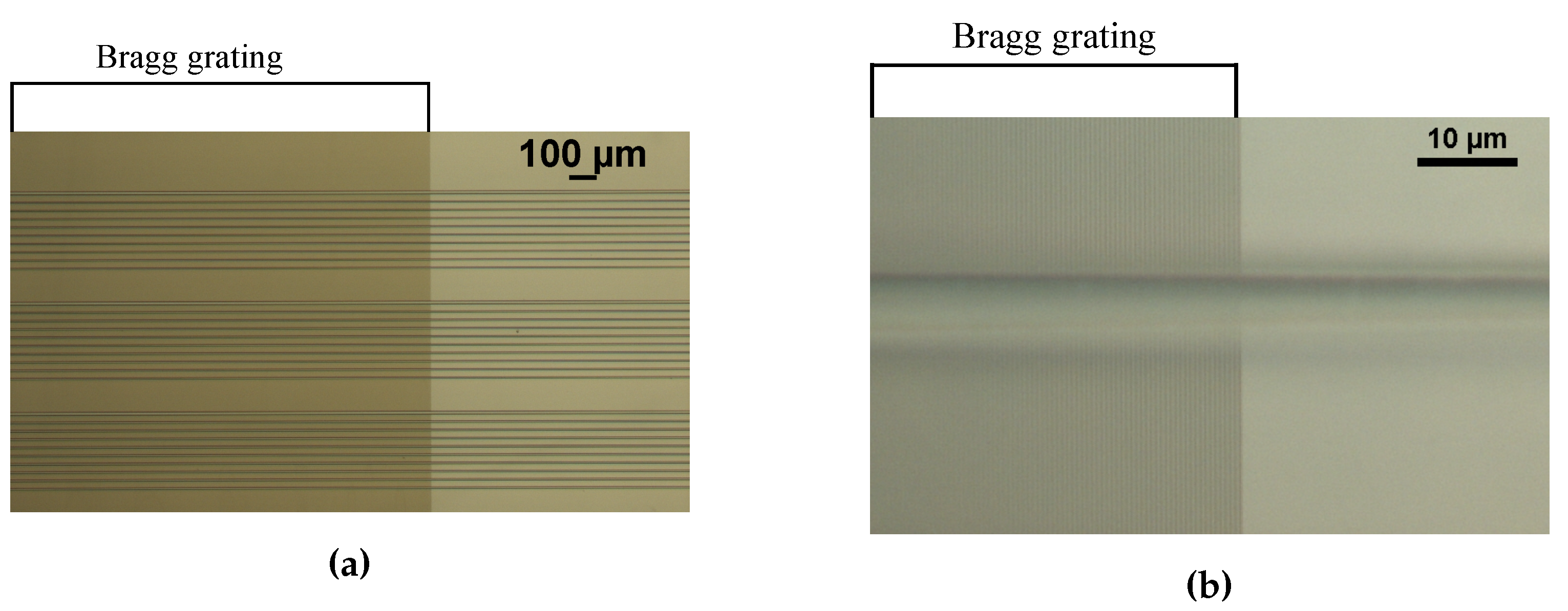 Sensors 20 03221 g016