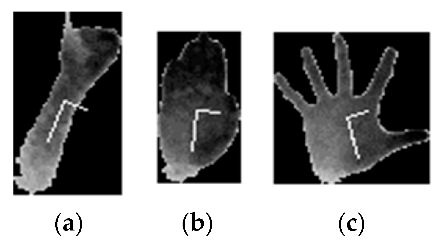 Sensors 20 03226 g005