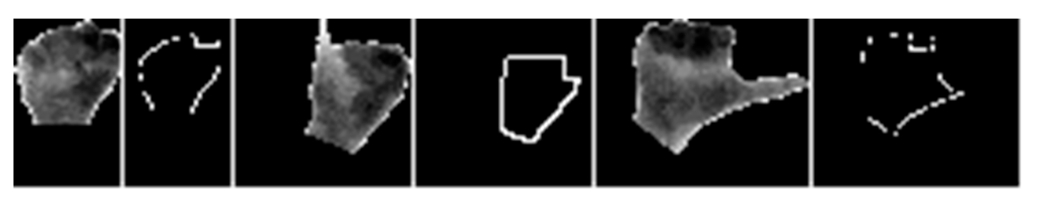 Sensors 20 03226 g013