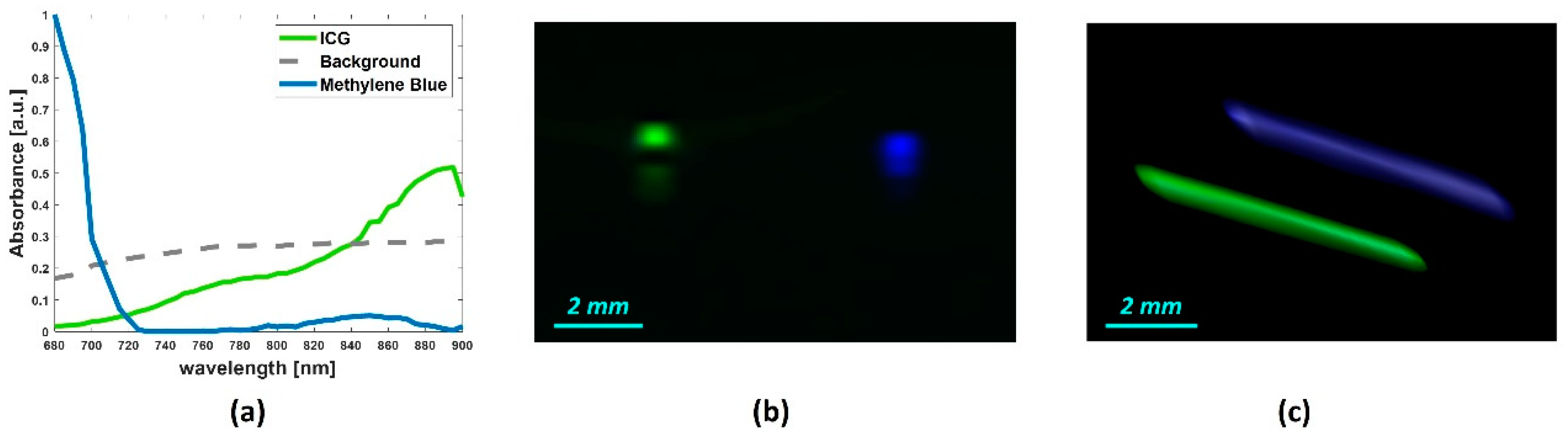 Sensors 20 03235 g005