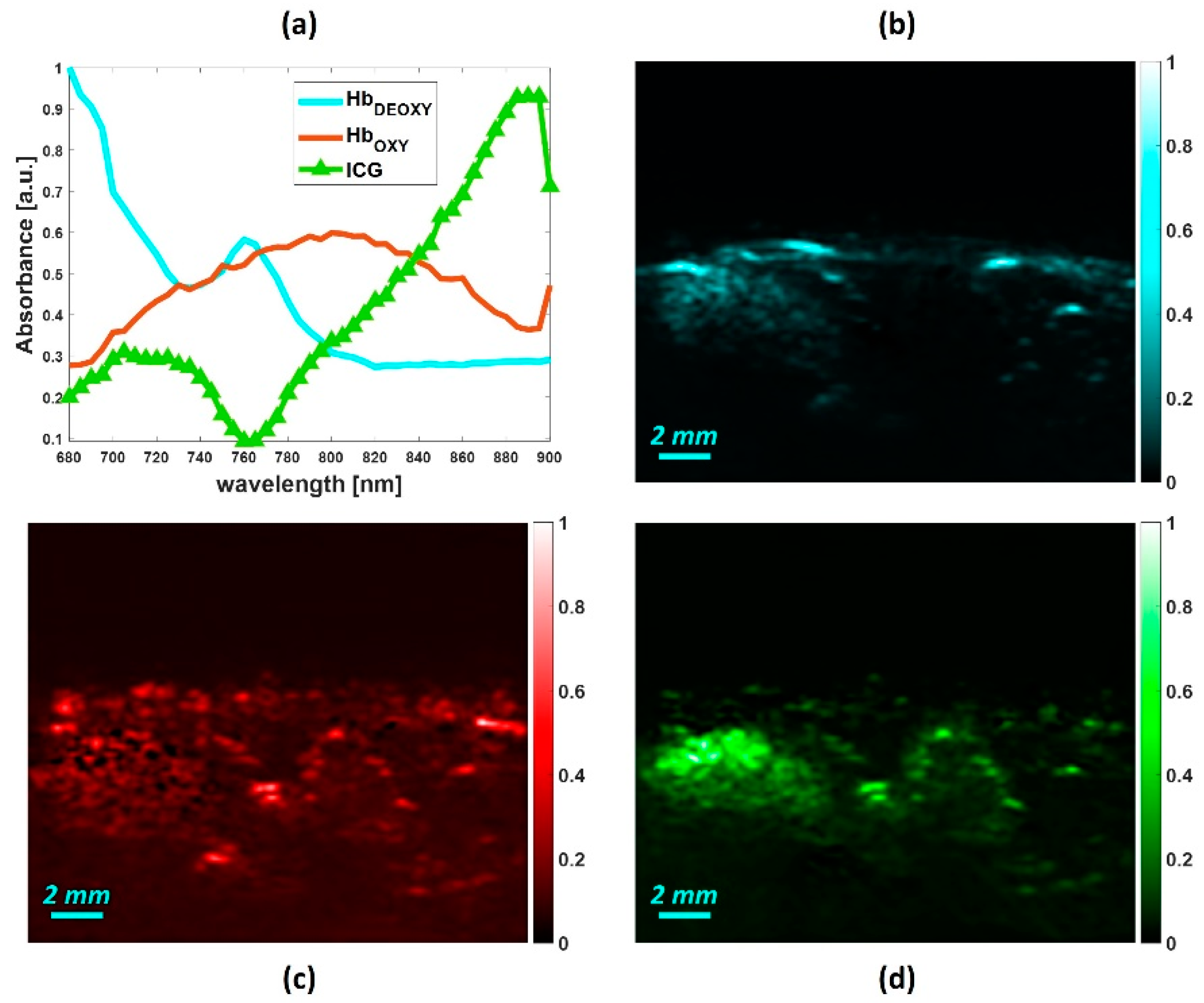 Sensors 20 03235 g007