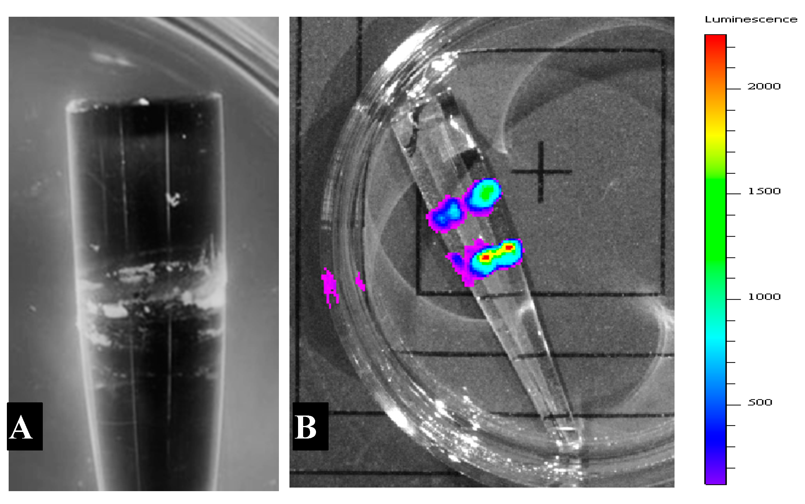 Sensors 20 03237 g008
