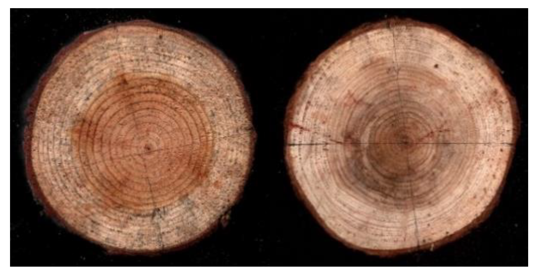 Sensors 20 03253 g010 Sensors 20 03253 g010