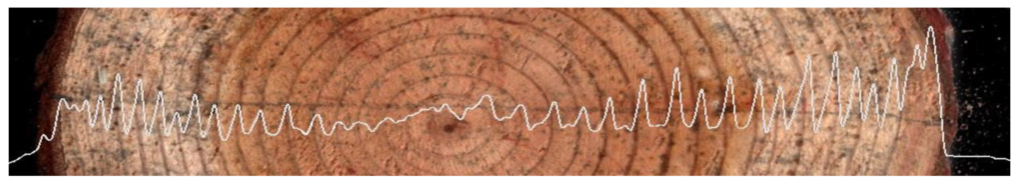 Sensors 20 03253 g019 Sensors 20 03253 g019