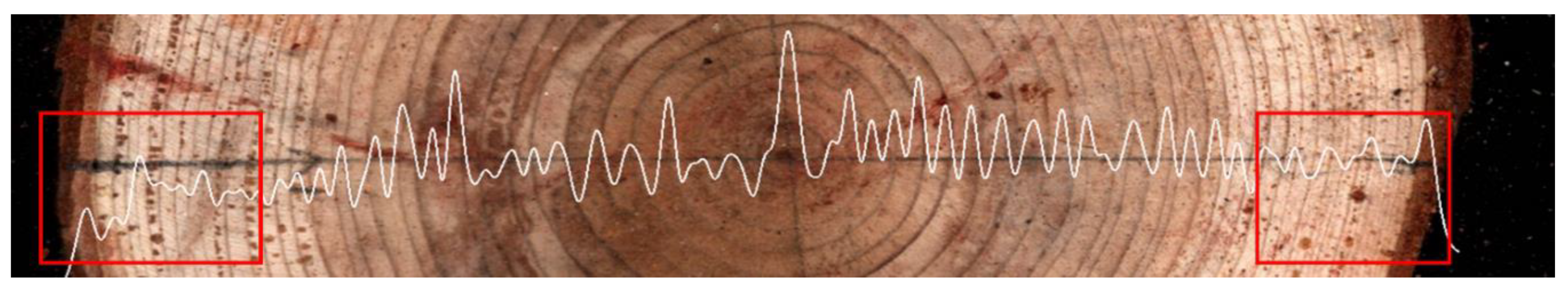 Sensors 20 03253 g020 Sensors 20 03253 g020