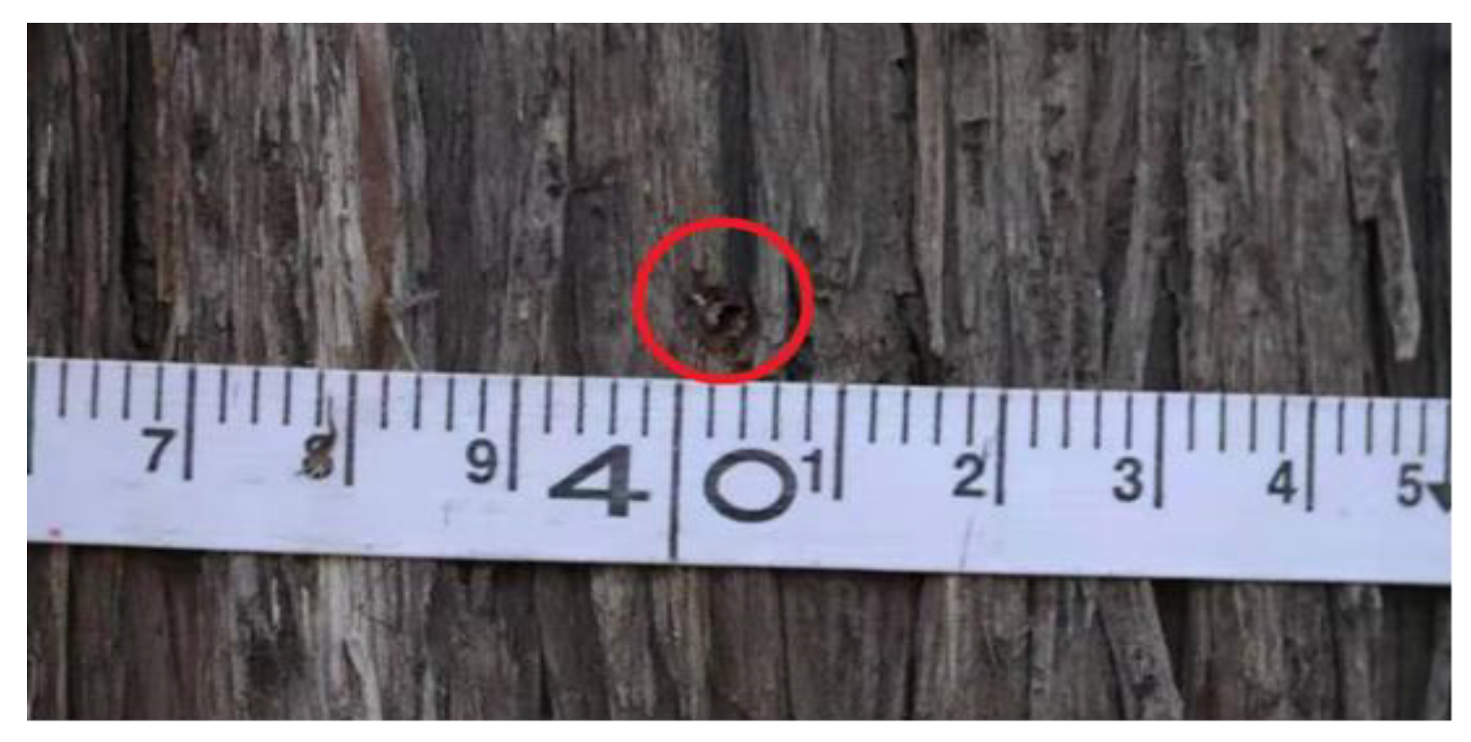 Sensors 20 03253 g022 Sensors 20 03253 g022