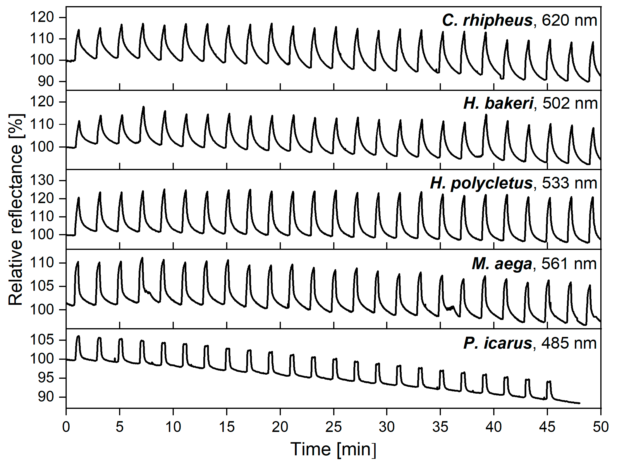 Sensors 20 03258 g002