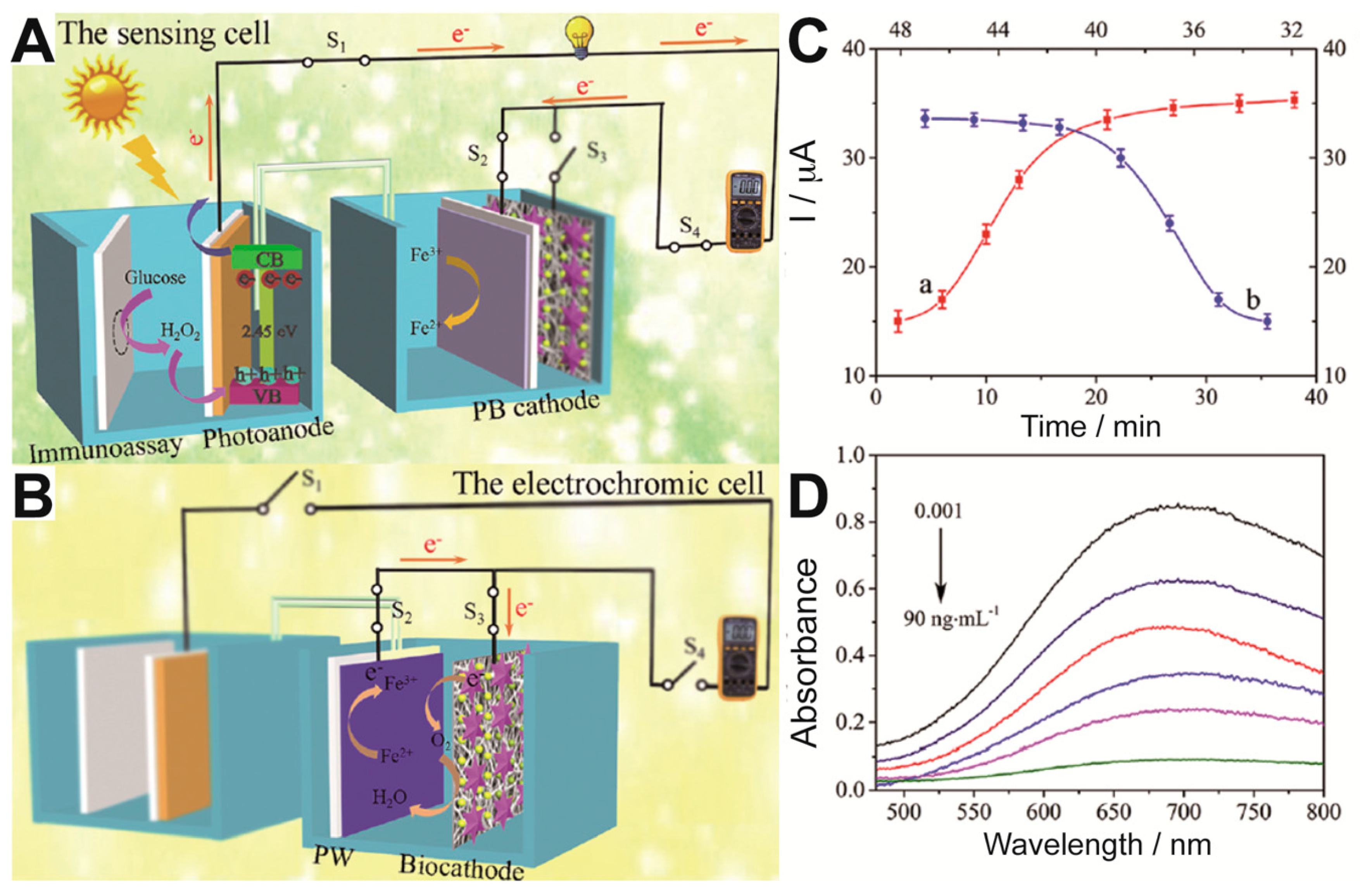 Sensors 20 03281 g007