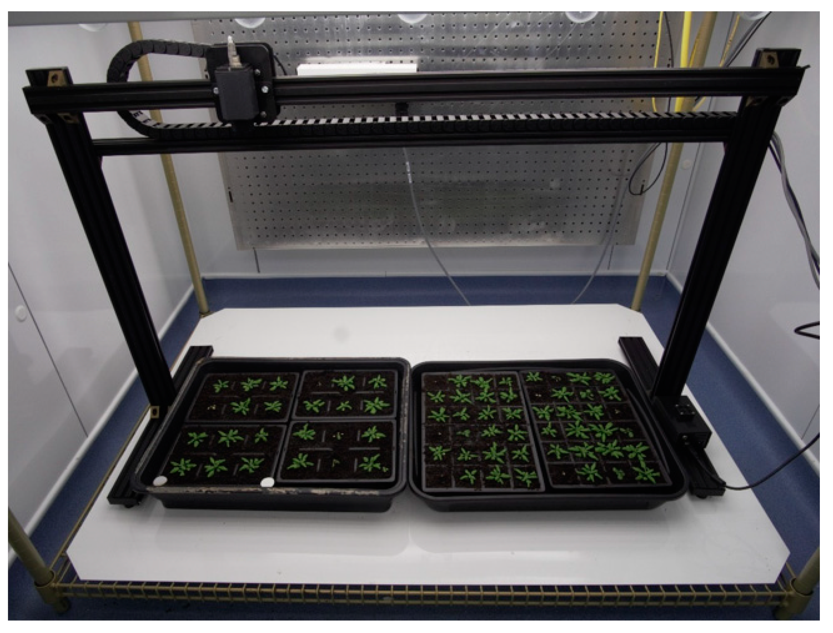 Sensors 20 03319 g002 Sensors 20 03319 g002