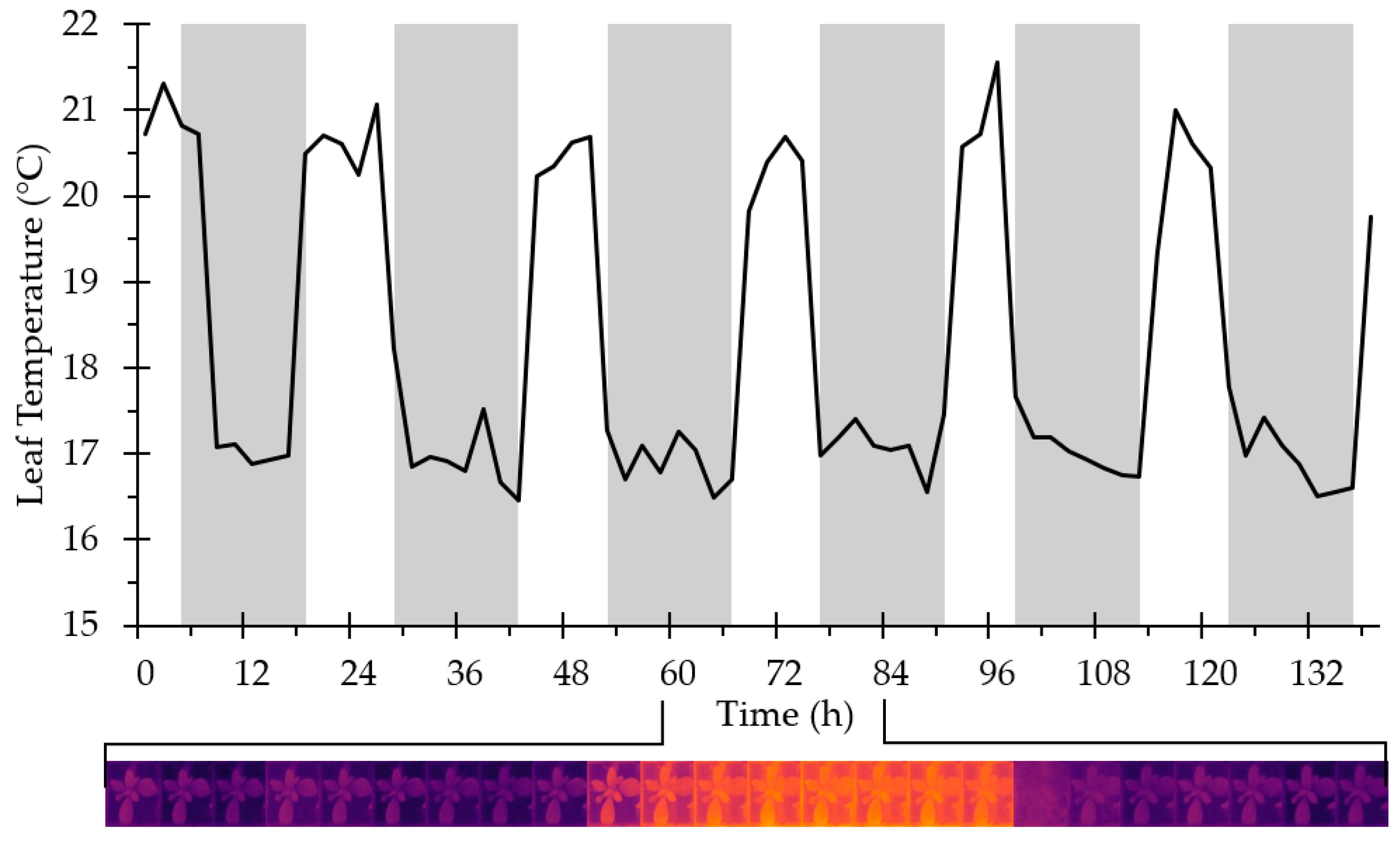 Sensors 20 03319 g004 Sensors 20 03319 g004